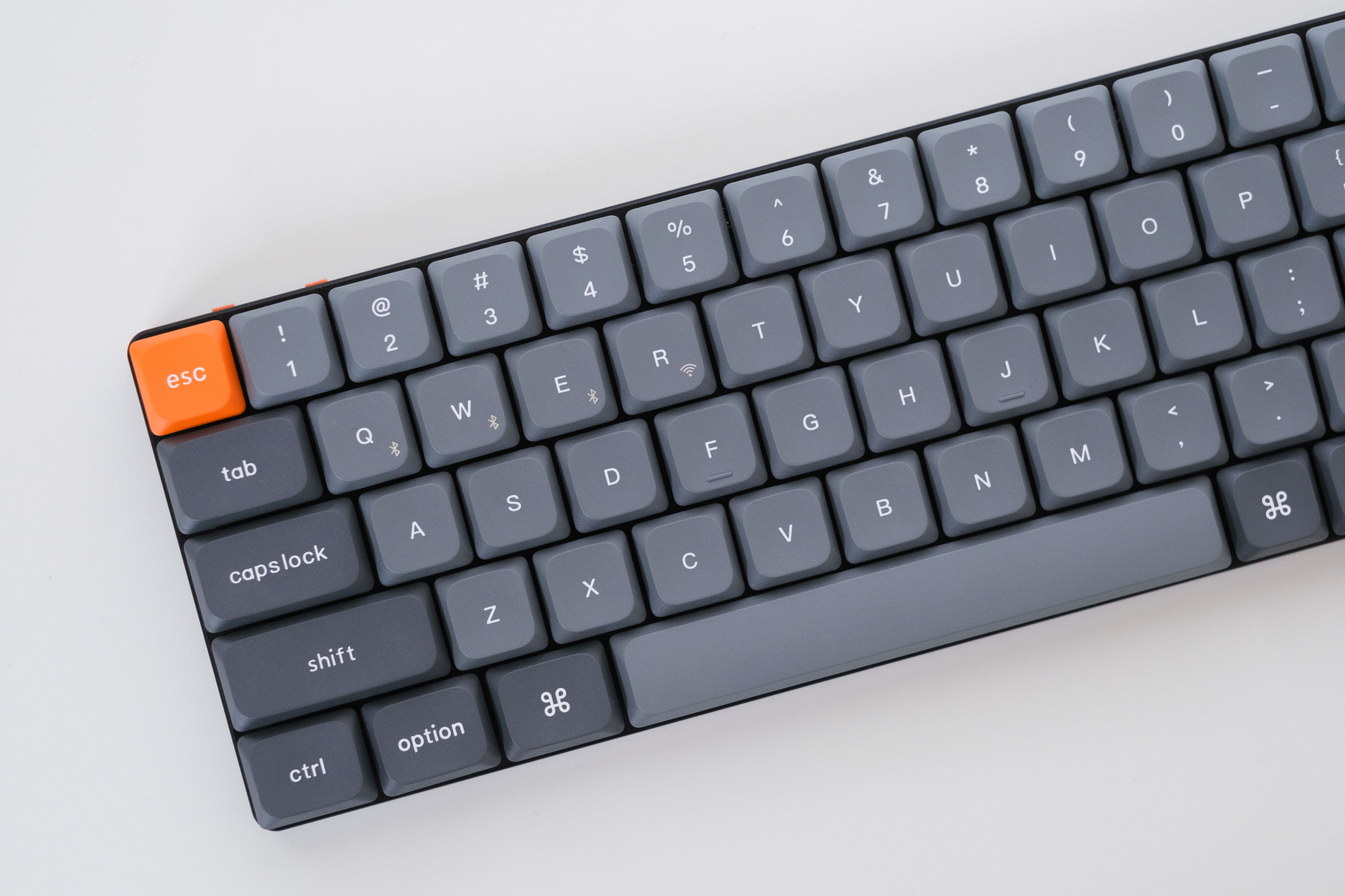 2024年8•9月の買ってよかったモノ｜Harushika