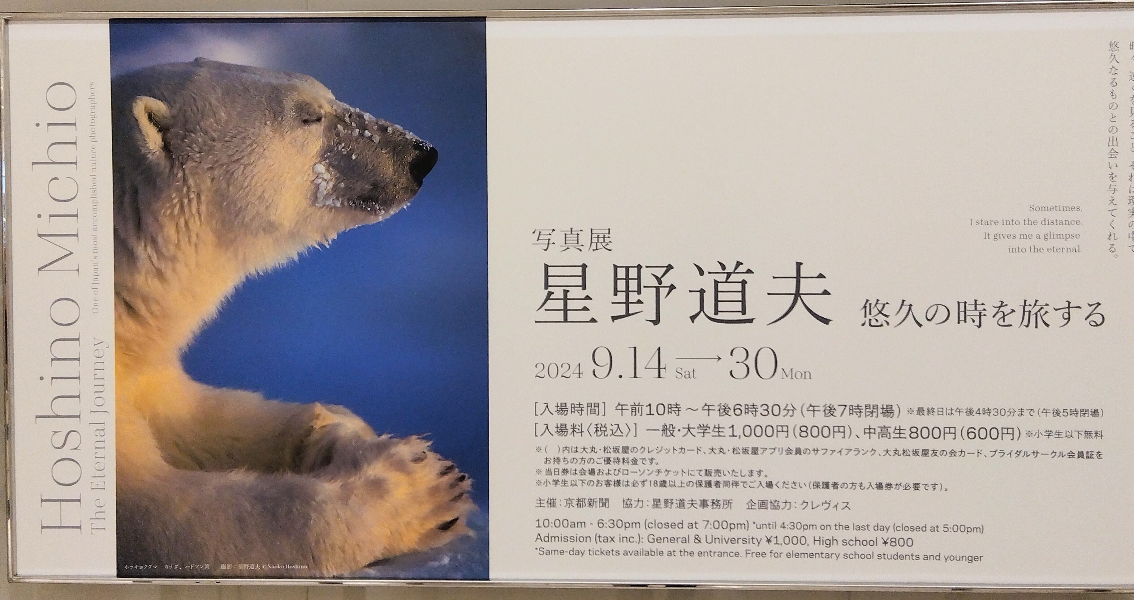 星野道夫さんの写真展。悠久の時を旅する。｜なおちか