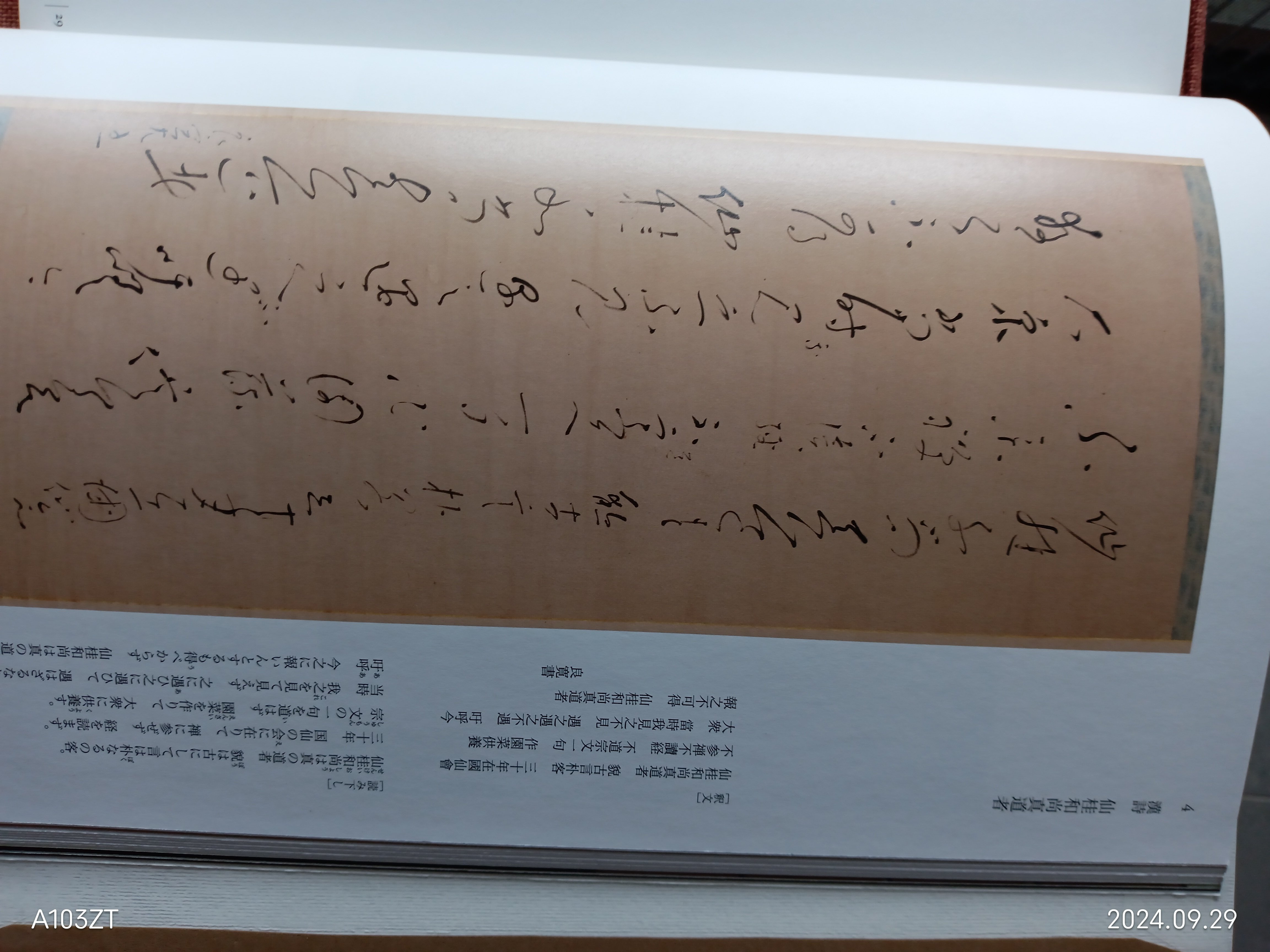 良寛・道元研究ノート｜ひまわりさん@良寛・道元研究