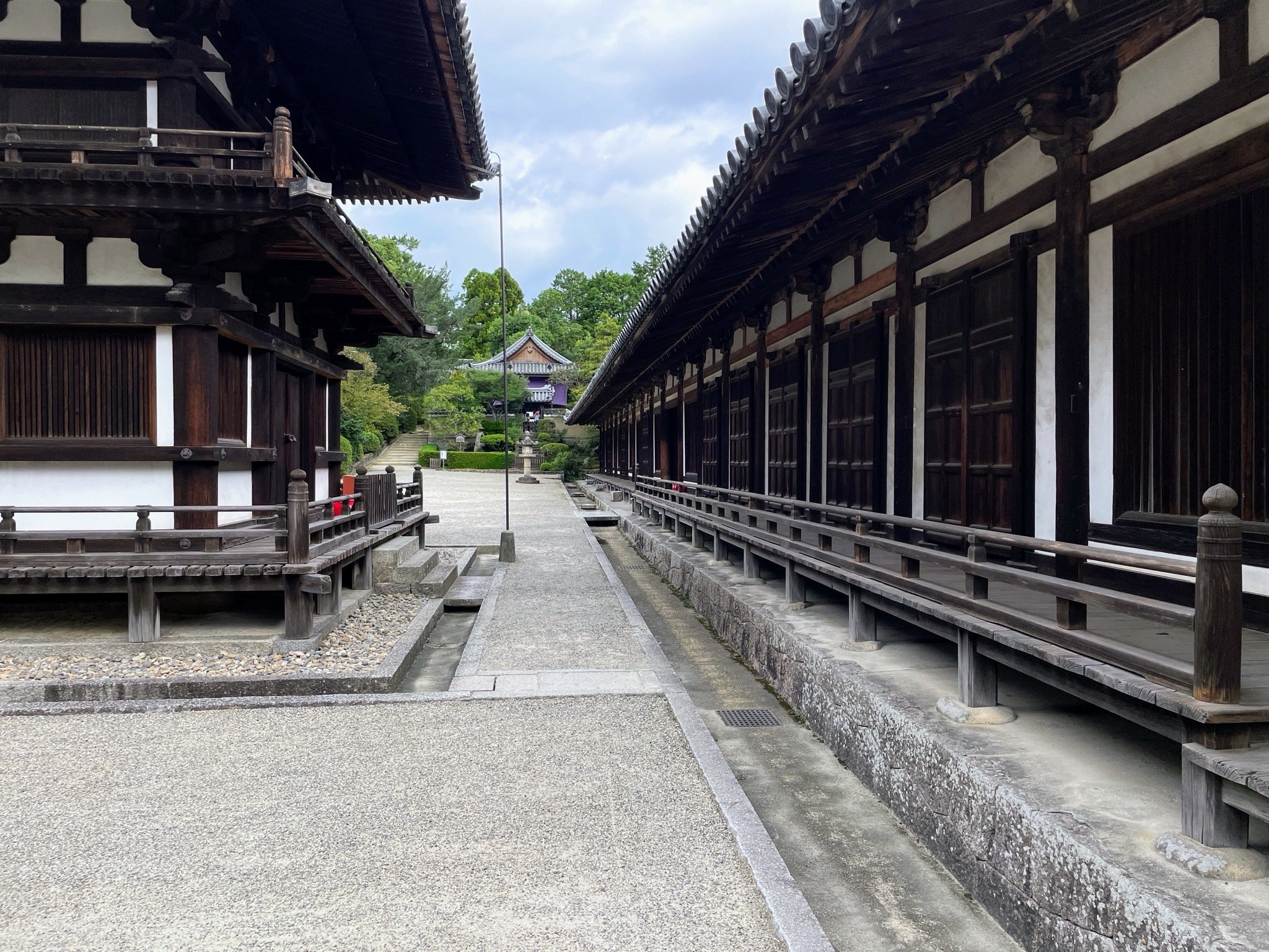 ぶらり、唐招提寺：2｜美術館とお寺と猫