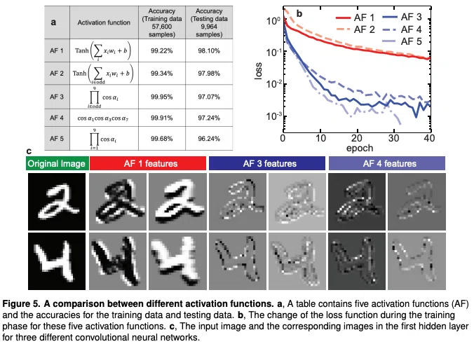 Quantum-inspired activation functions in the convolutional neural ...