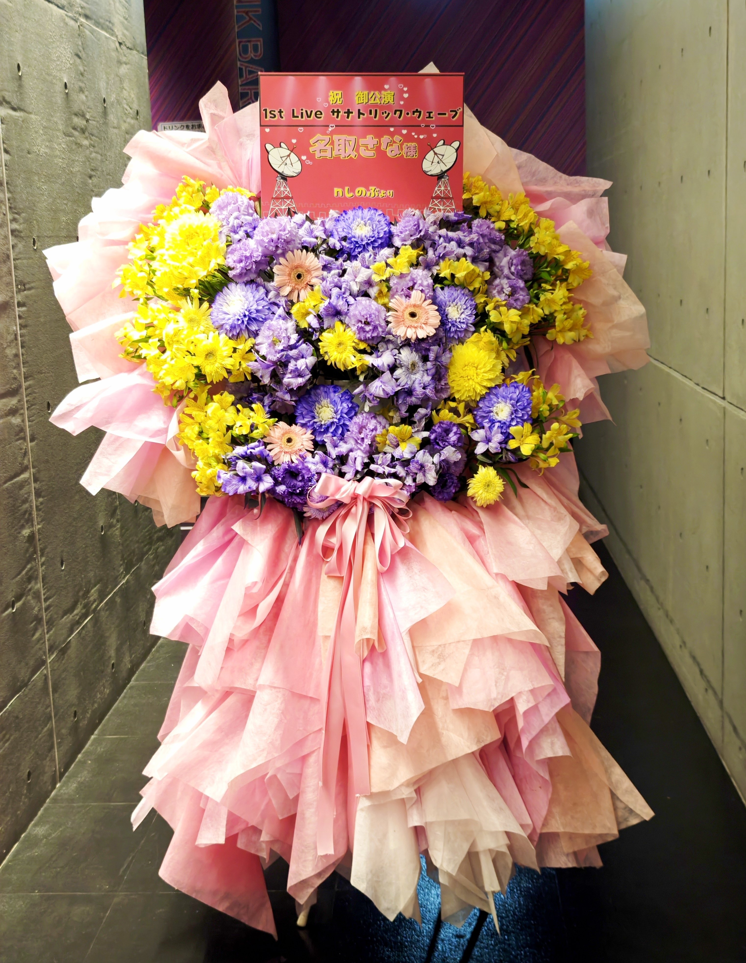 名取さな1st Live サナトリック・ウェーブのエコー あるファンの