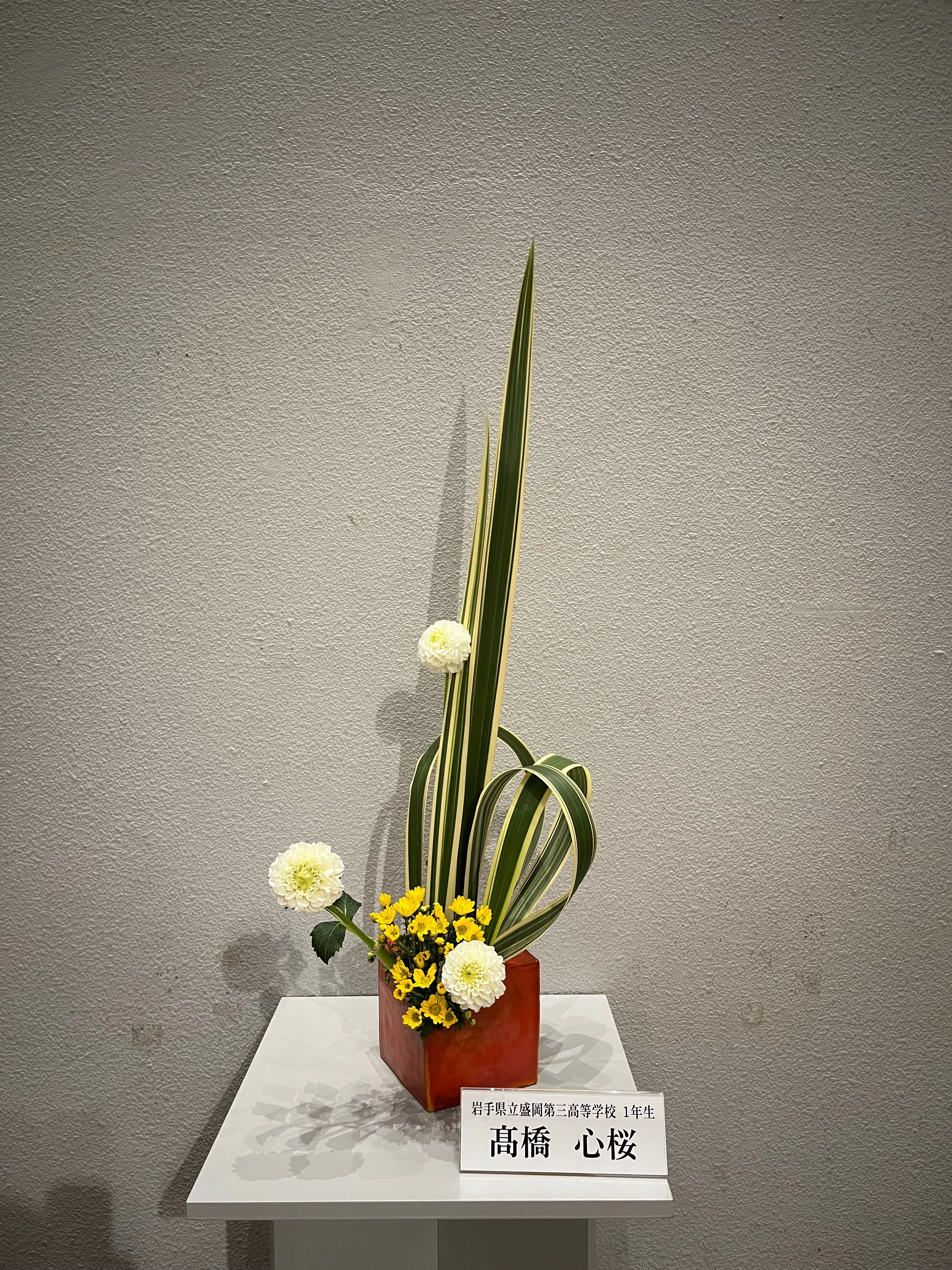 華道部】第77回岩手芸術祭華道展に出瓶しました｜岩手県立盛岡第三