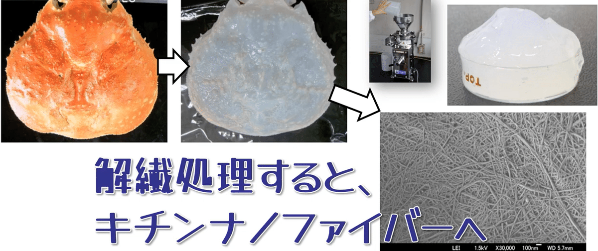キチン、キトサンの応用 | キチン、キトサン研究会 |本 | 通販