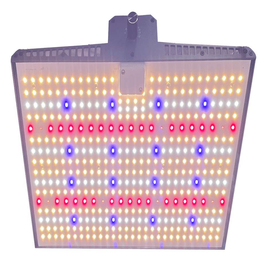 コストパフォーマンス抜群の植物育成ライト 