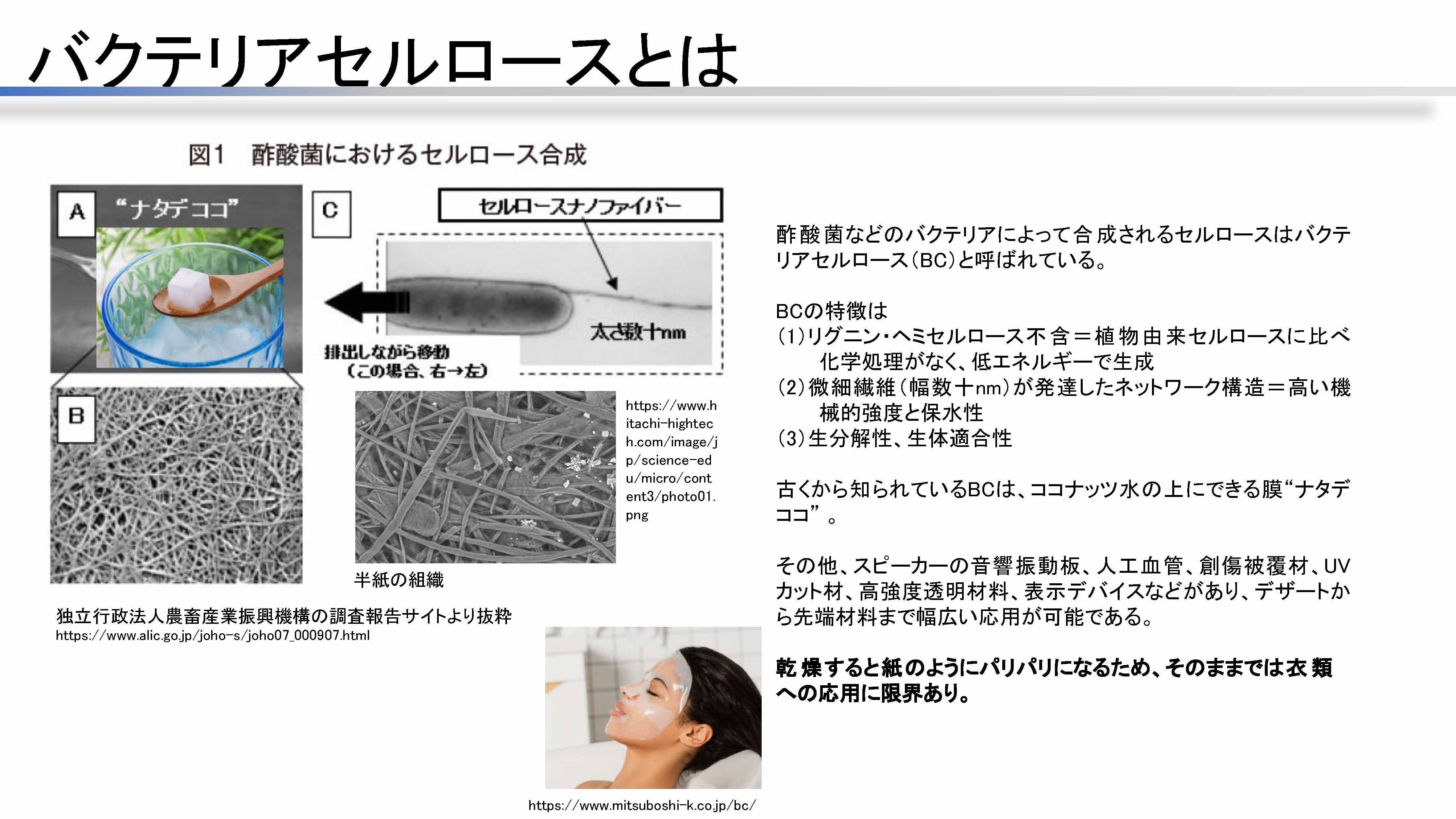 繊維材料研究の視点から語る、ファッション産業に求められる技術革新