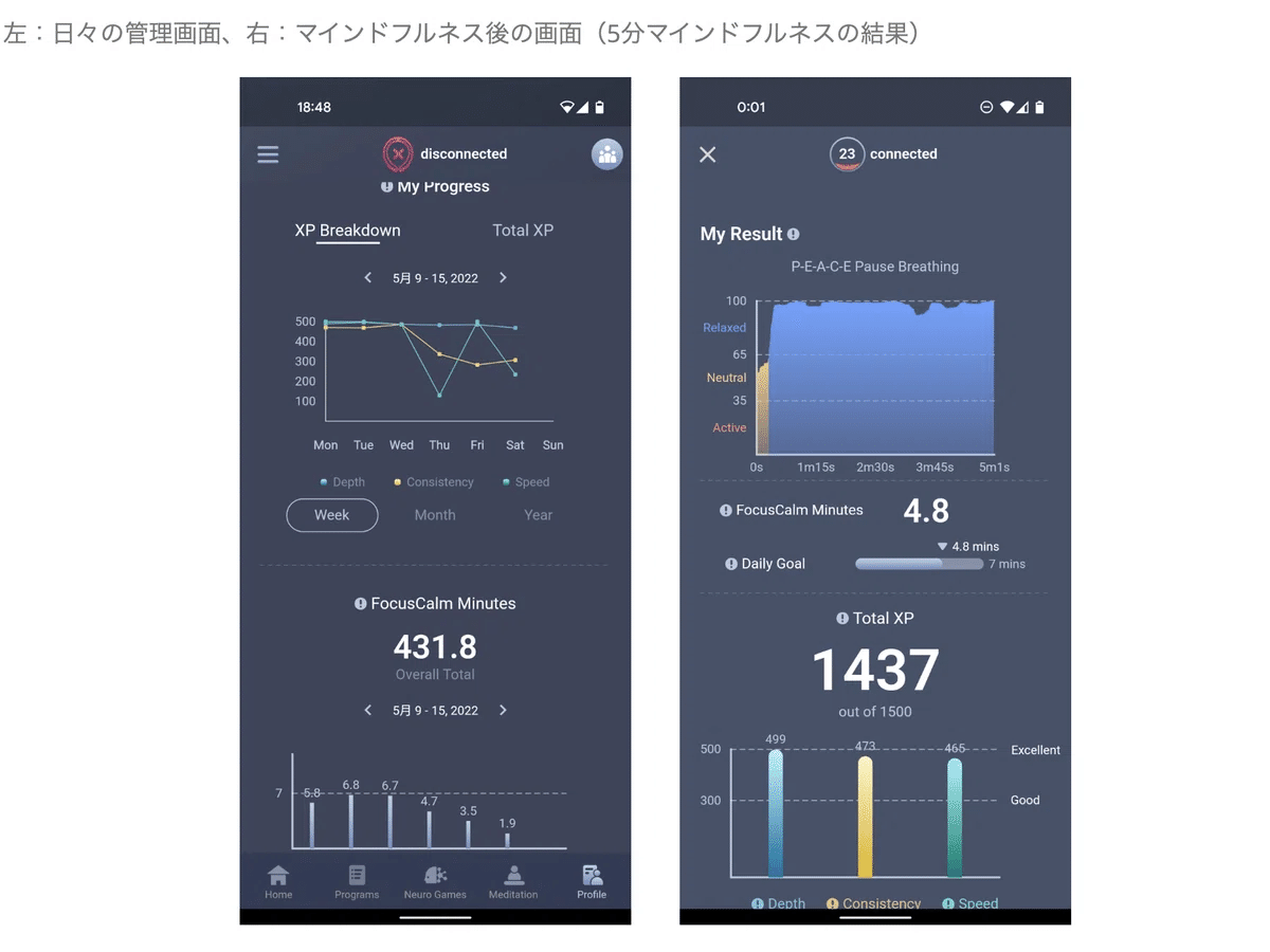 Part2】【1年使ってみた感想】どの脳波デバイスを買うべき？一
