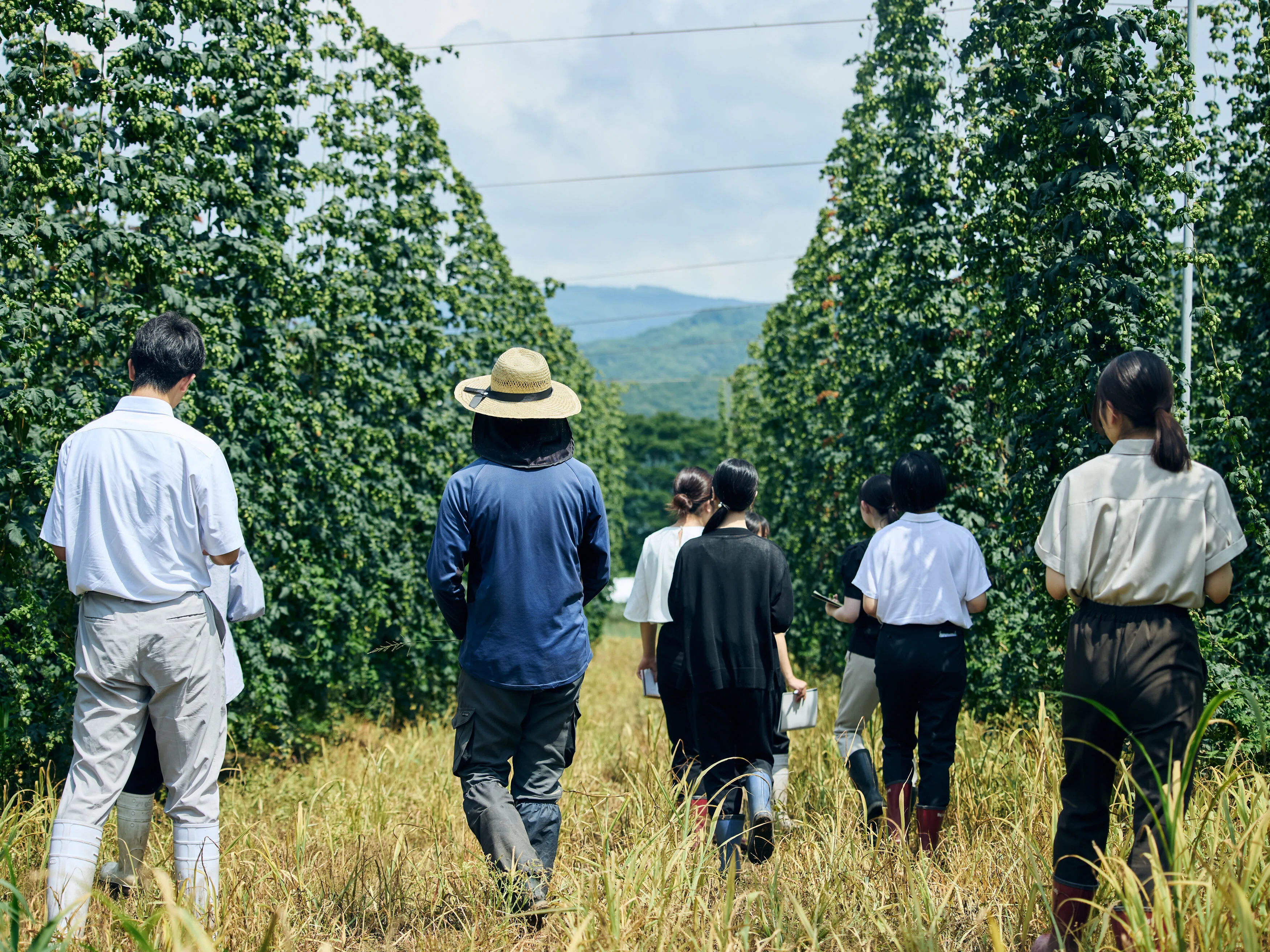 遠野市でホップ栽培に挑む新規就農者のもとへ。学生たちが見た遠野の