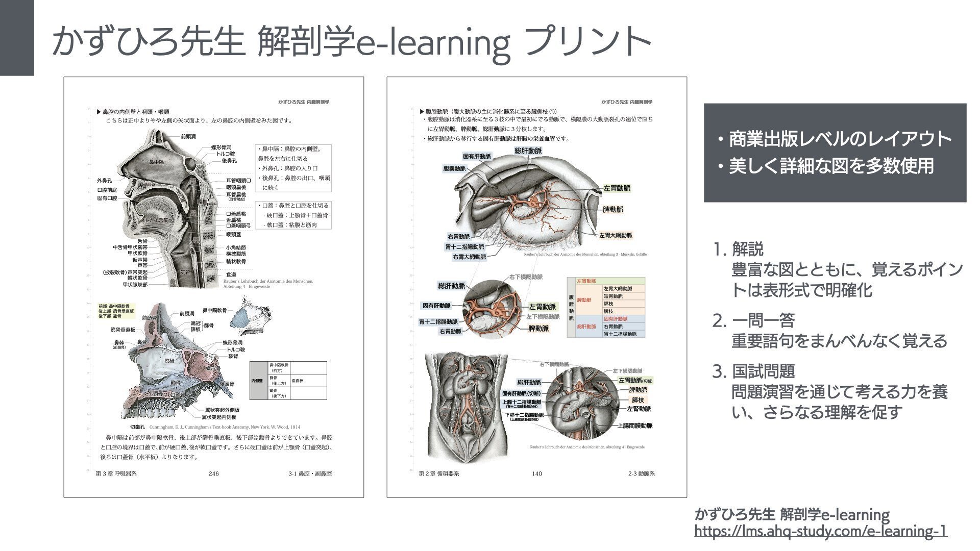 かずひろ先生 解剖学e-learning|かずひろ先生(黒澤一弘|解剖学) かずひろ先生 解剖学e-learning|かずひろ先生(黒澤一弘|解剖学)