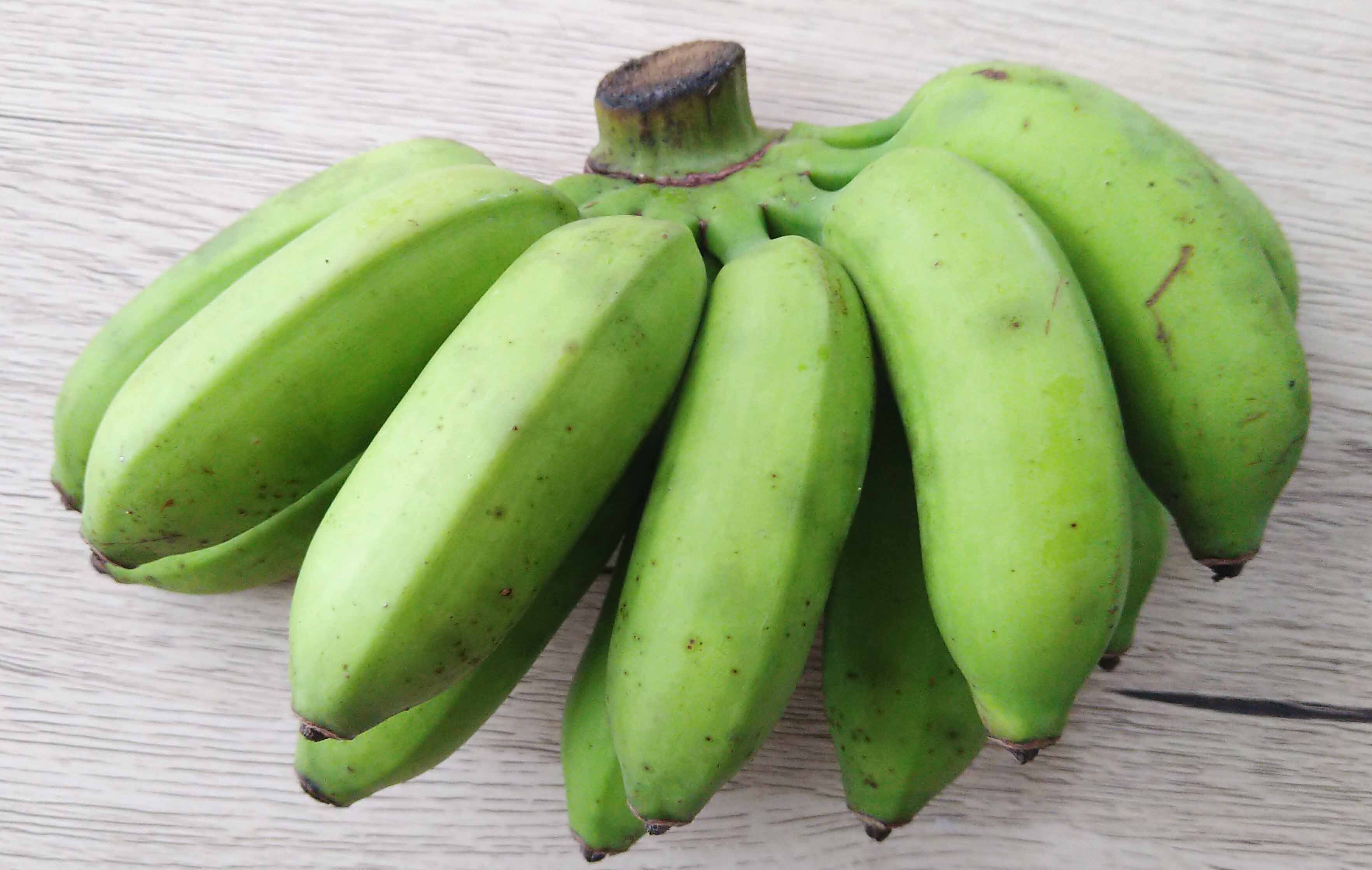 なぜ？の嵐｜ゆきんこ