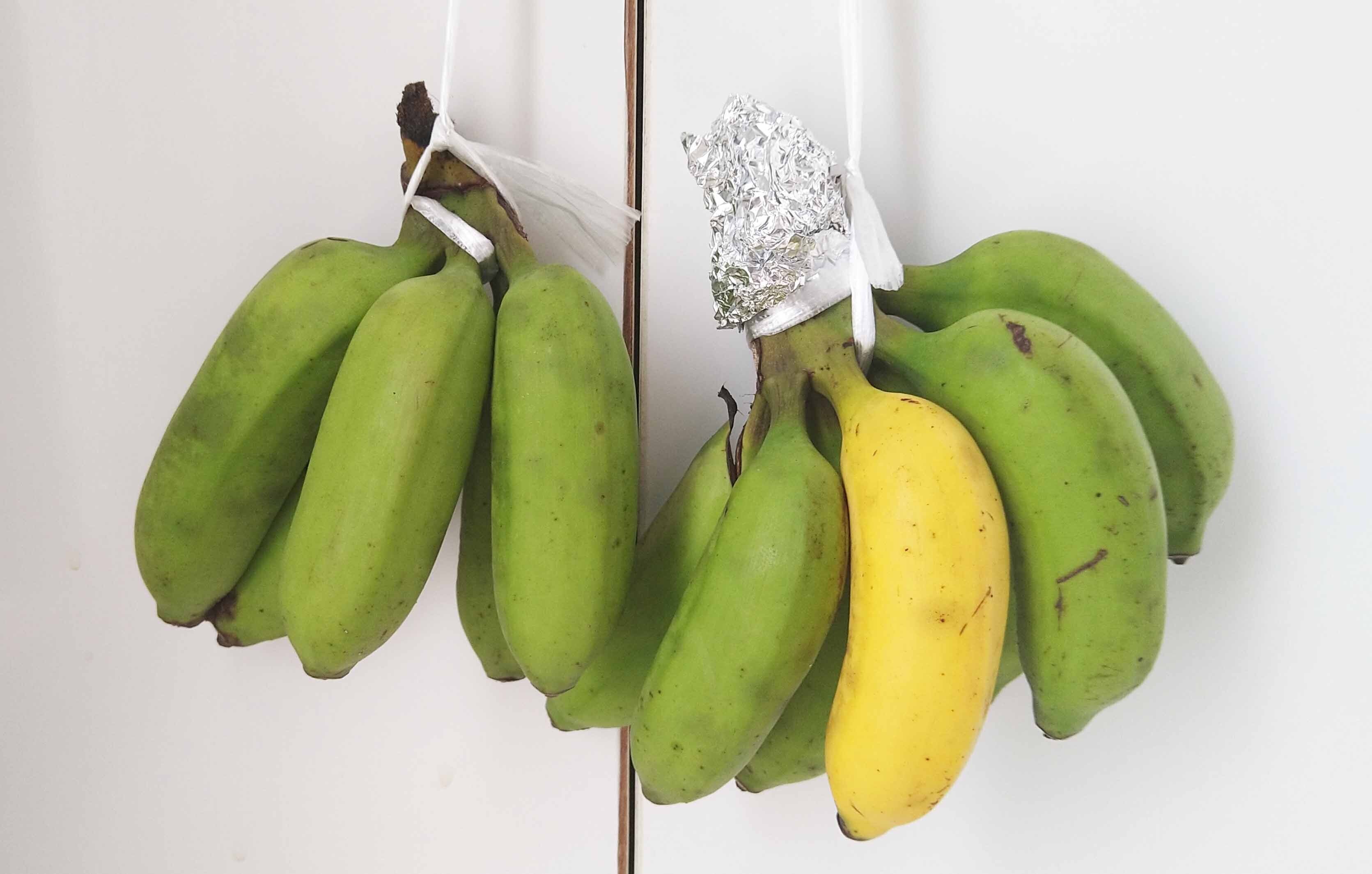 なぜ？の嵐｜ゆきんこ