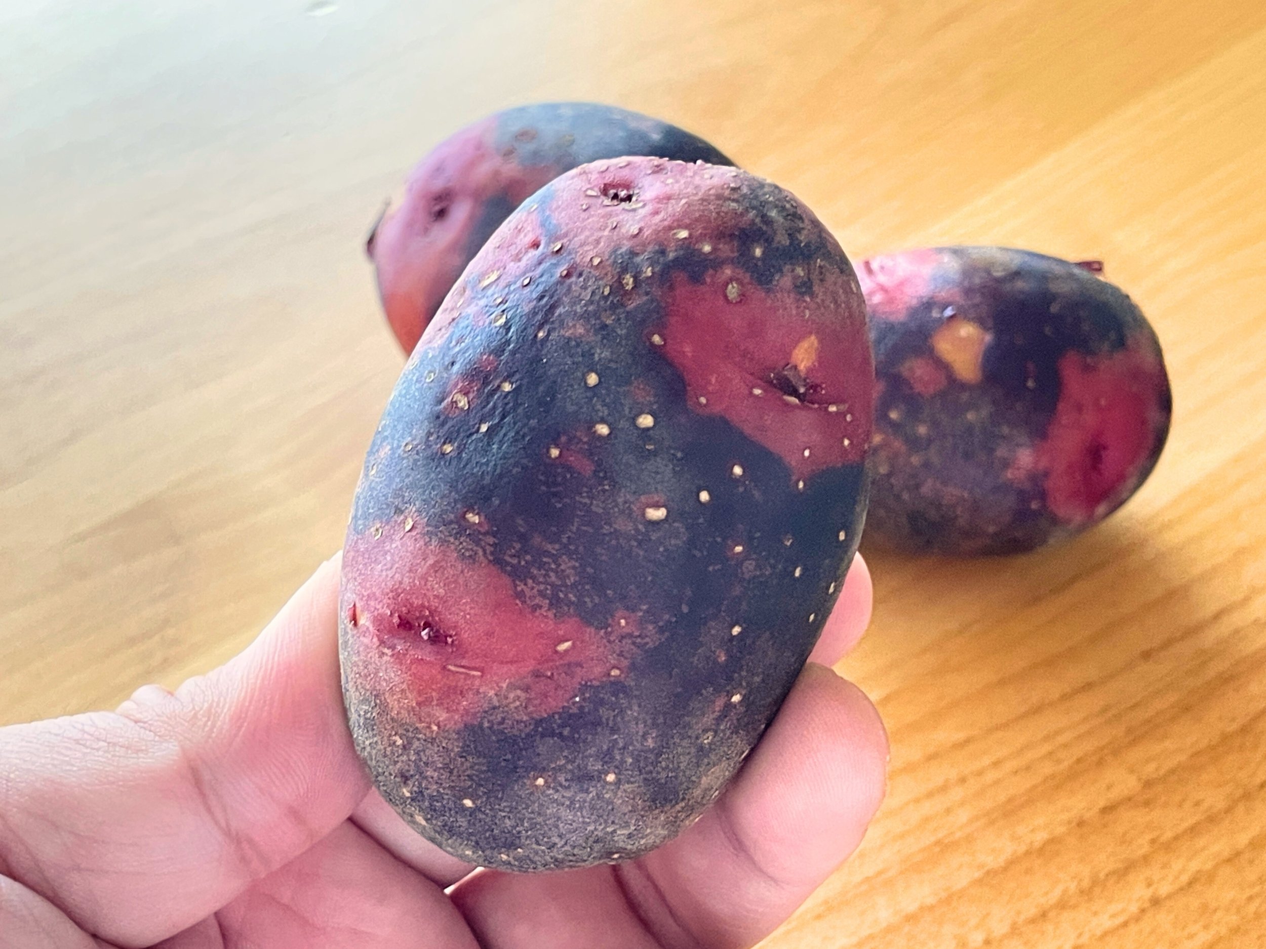 楽天市場】じゃがいも 種芋 デストロイヤーの通販