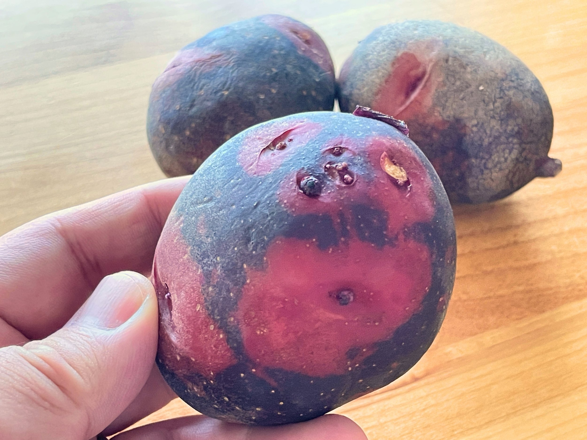 デストロイヤーって何？見た目も凄いけど、その美味しさにも驚く