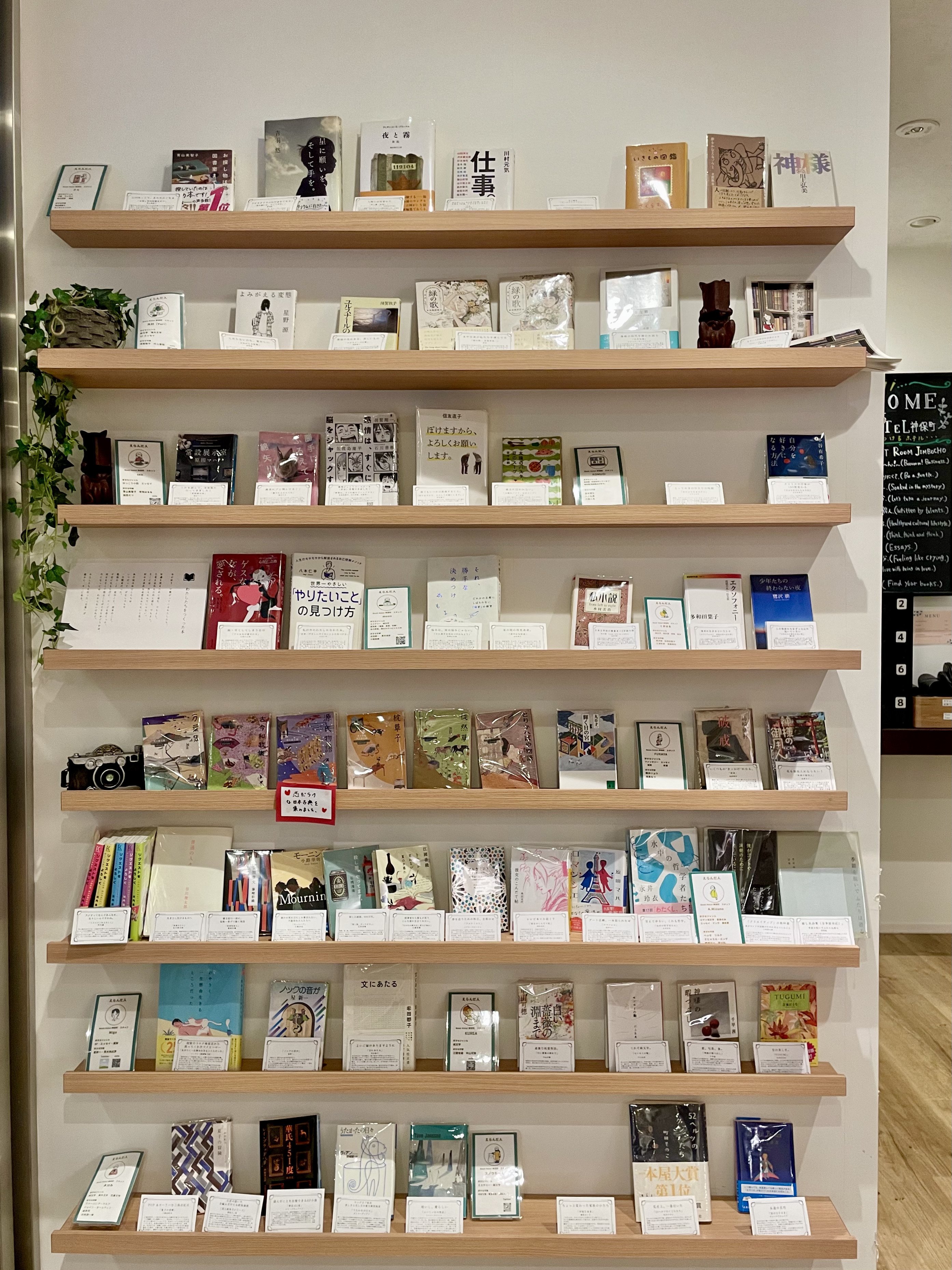 洋書 Saorin BOOK HOTEL 神保町で読みたい！スタッフKの推し本を紹介します。｜BOOK