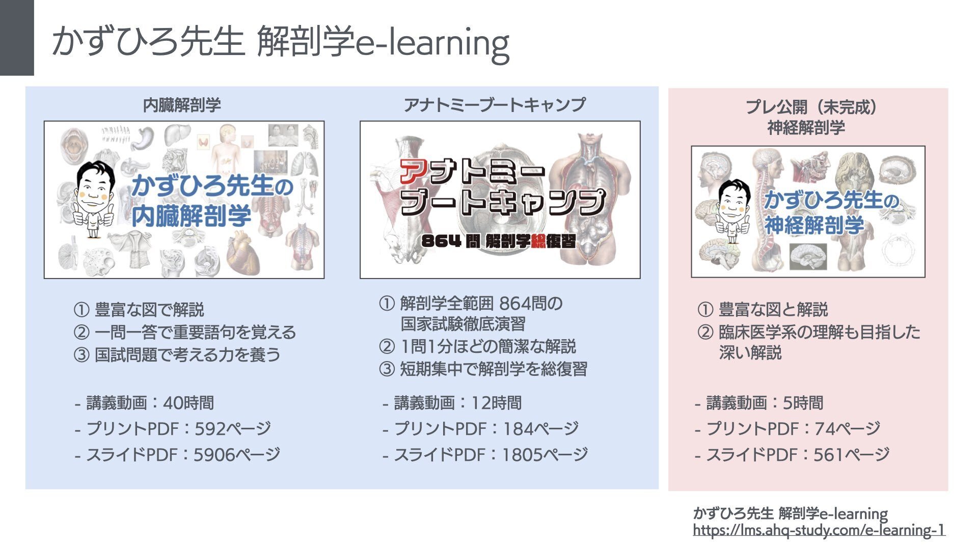 かずひろ先生 解剖学e-learning｜かずひろ先生（黒澤一弘｜解剖学）