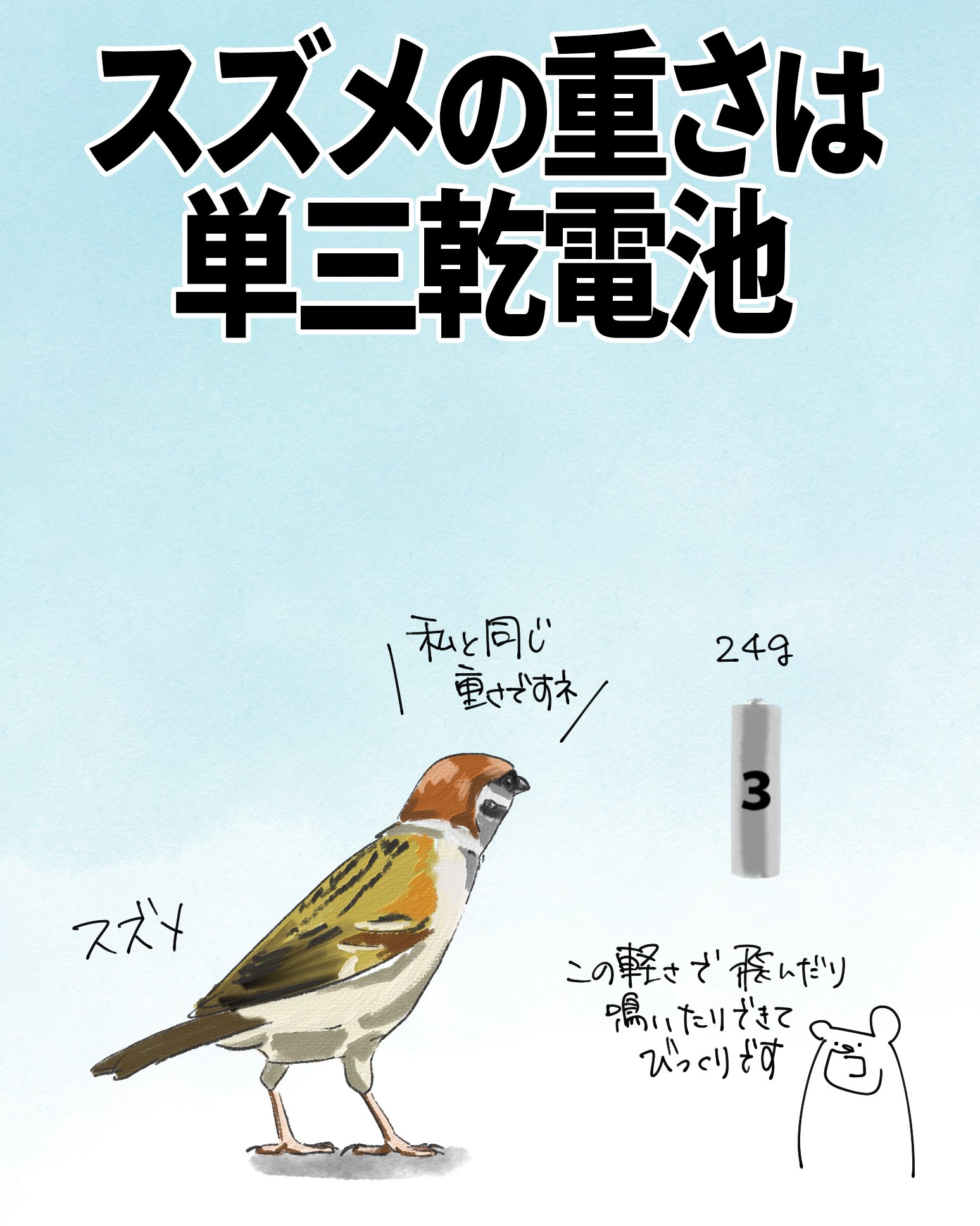 スズメの重さは単三乾電池｜くますけ｜自然ガイド・クリエイター