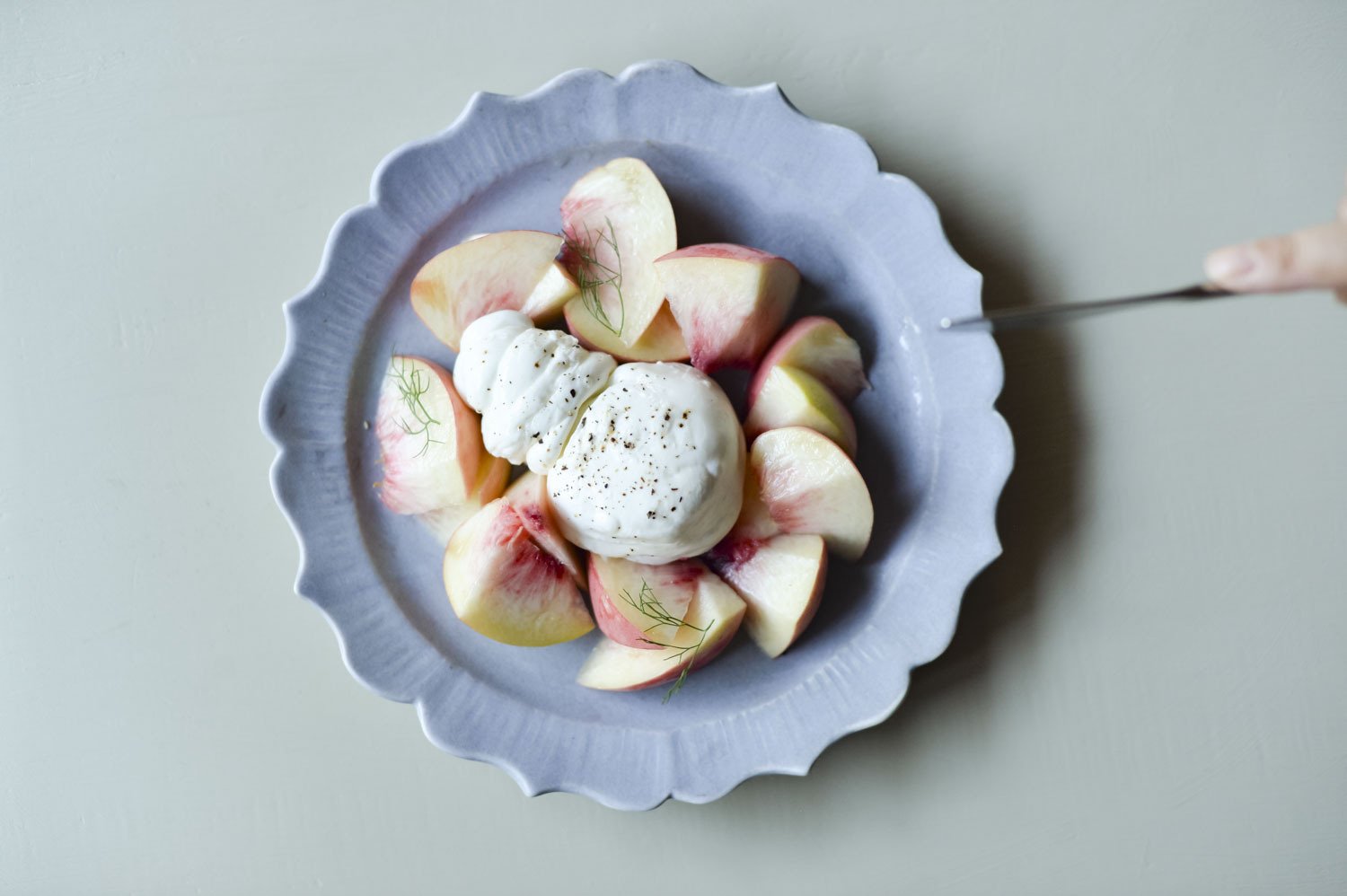 今年もおいしいチーズが滋賀からやってくる！「Lactosérum」さんの