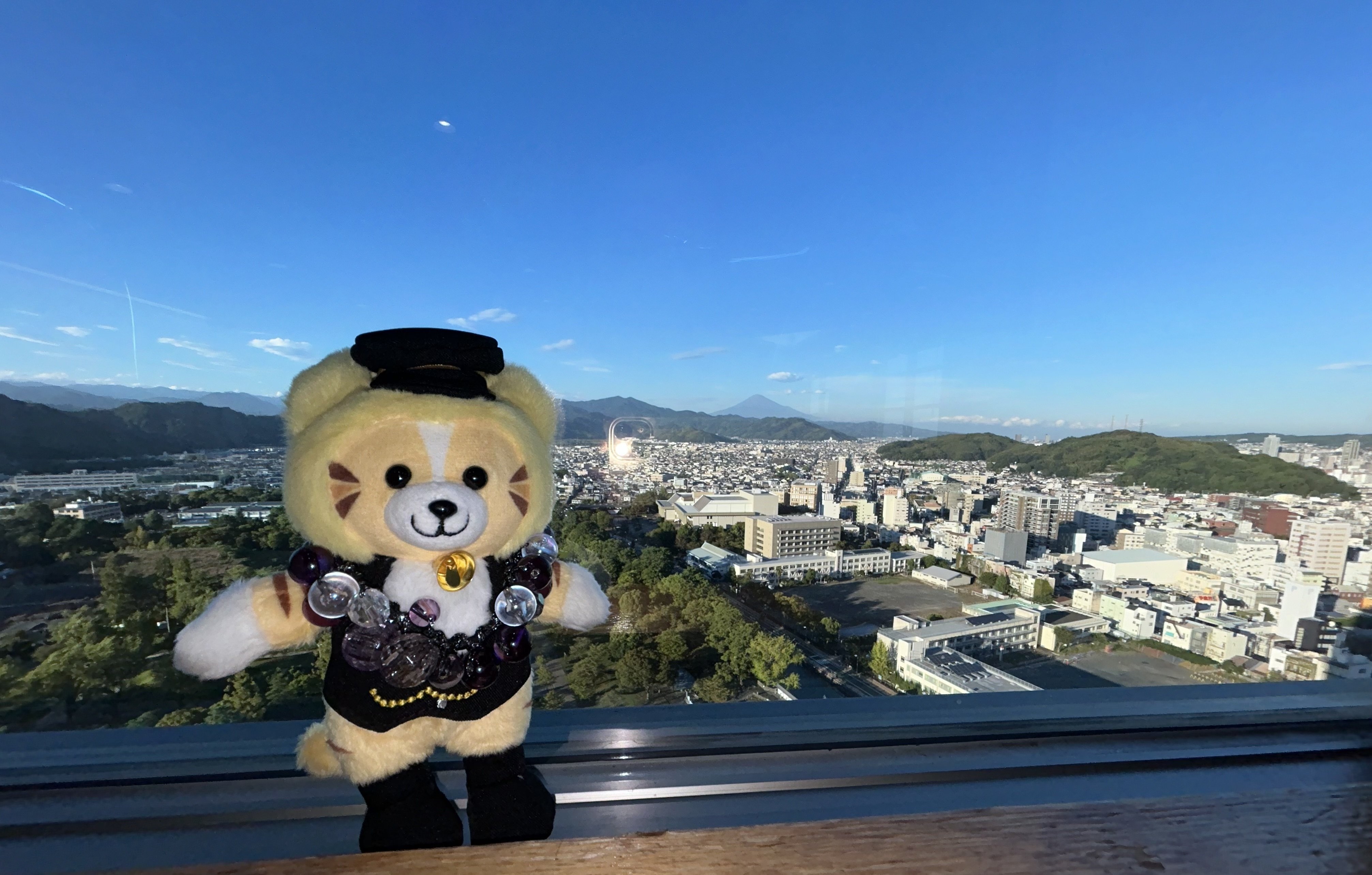 劇団四季 キャッツ マスコット スキンブルシャンクス ミストフェリーズ