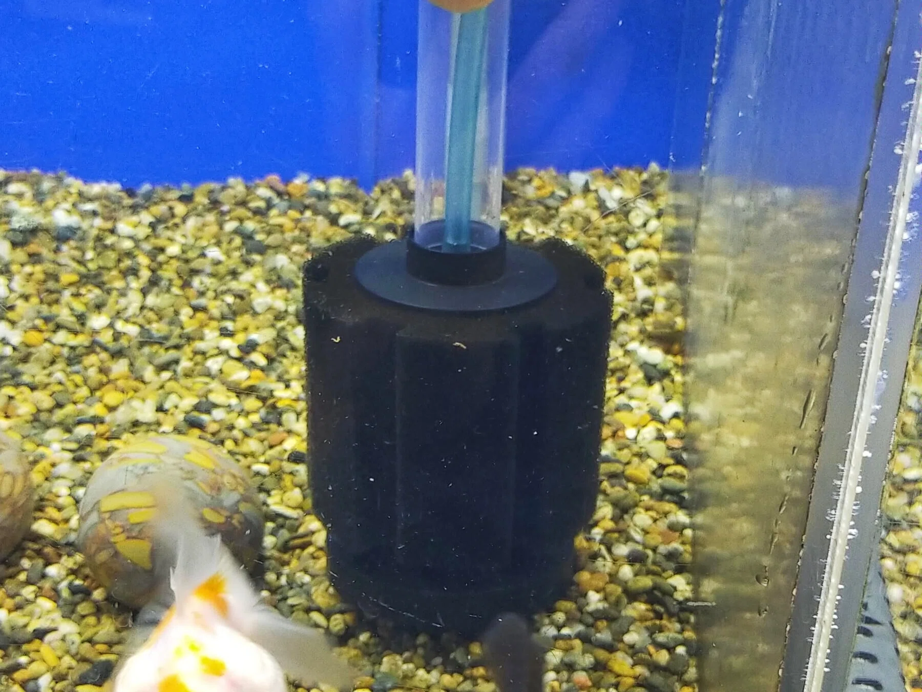 底面フィルター 60cm水槽 特注 底面ろ過 底面濾過フィルター 海水魚