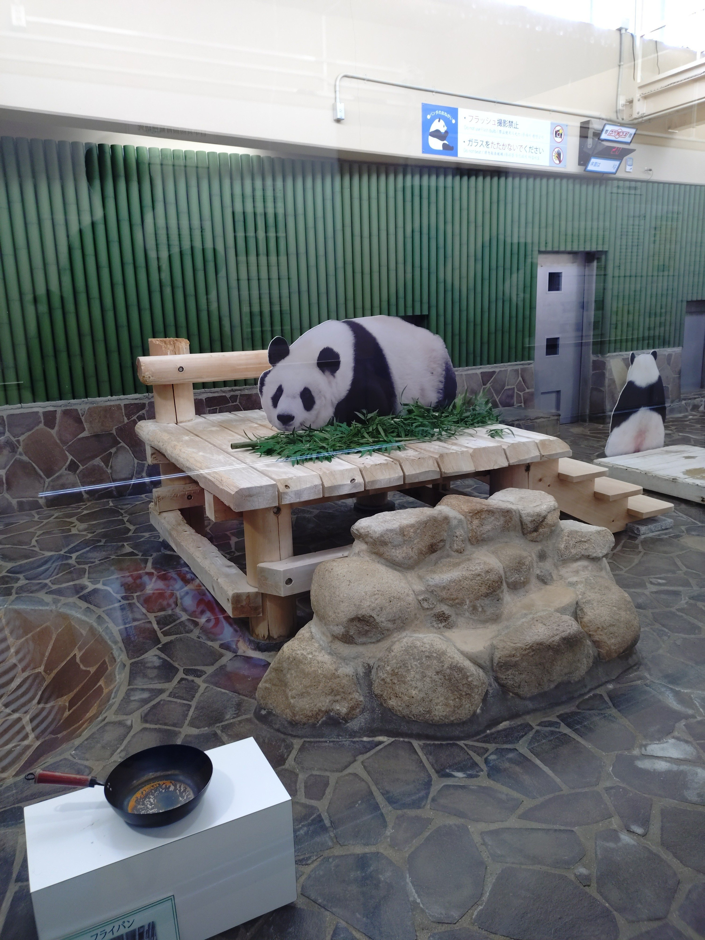動物園巡りの記録⑬～神戸市立王子動物園編｜すっぴー