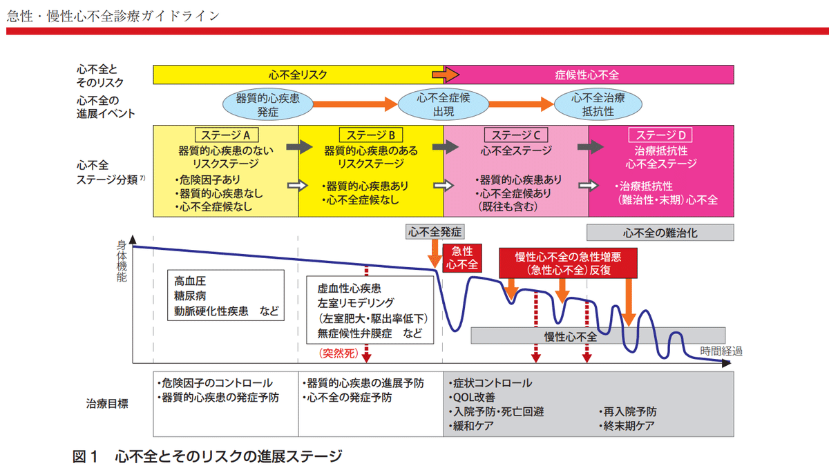 心不全診療Controversy 心不全診療Controversy | 河野 隆志, 白石 泰之 |本 | 通販 | Amazon