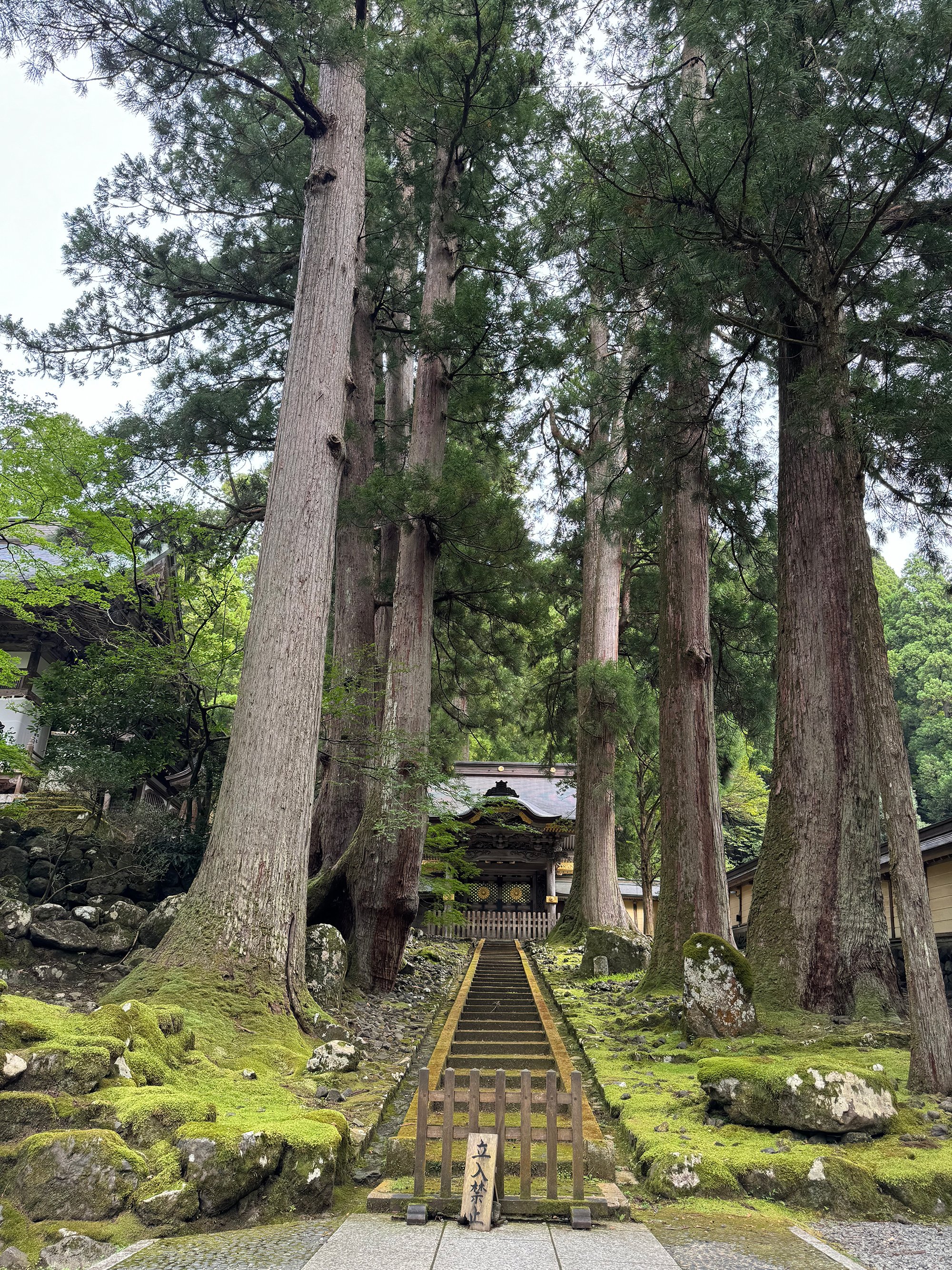 曹洞宗の大本山「永平寺」を訪ねる（1）｜ほししいたけファンクラブ