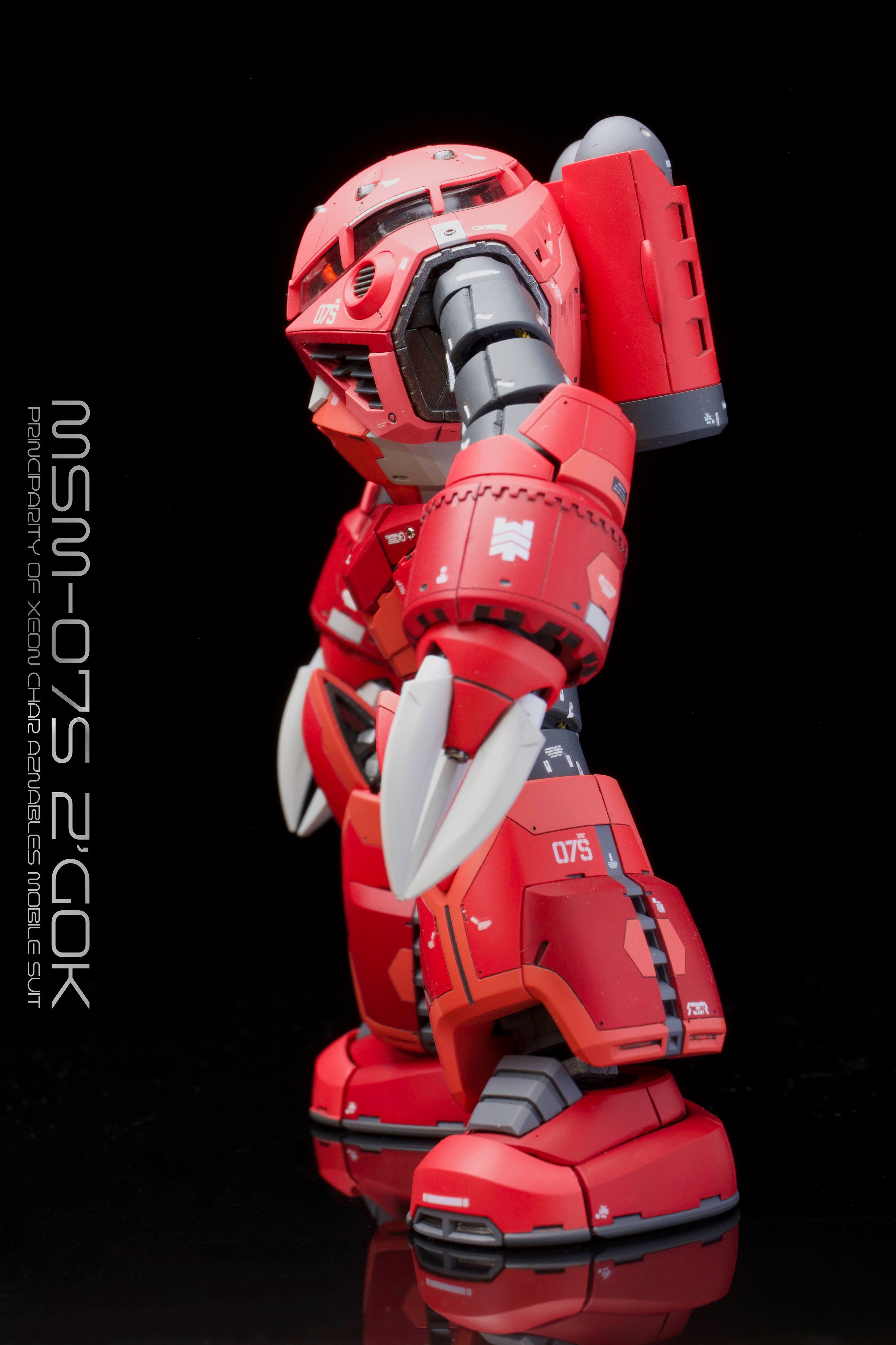 RGシャア専用ズゴックリメイク｜RRTac(msr457)