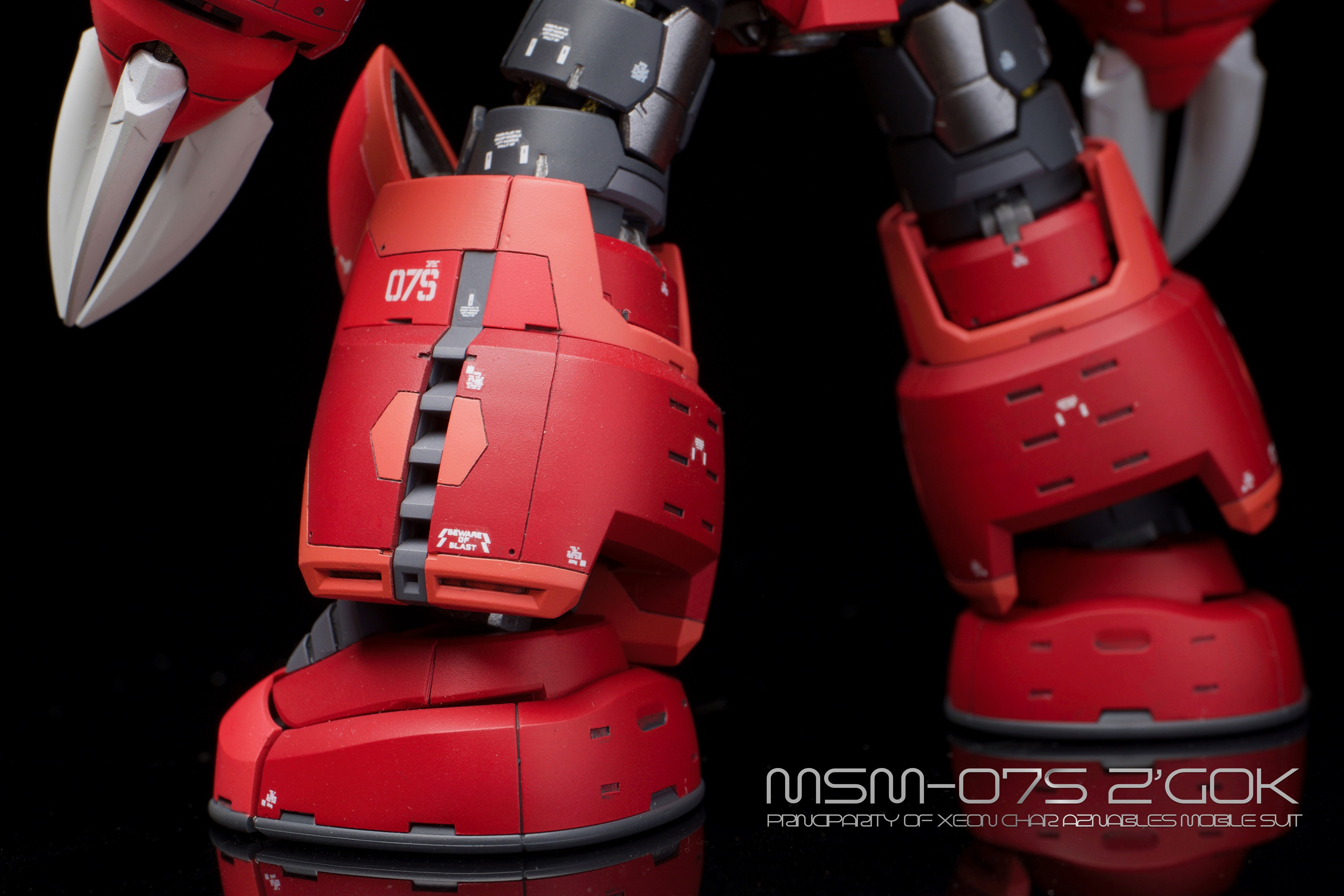 RG ズゴック シャア専用｜ホットケーキさんのガンプラ作品