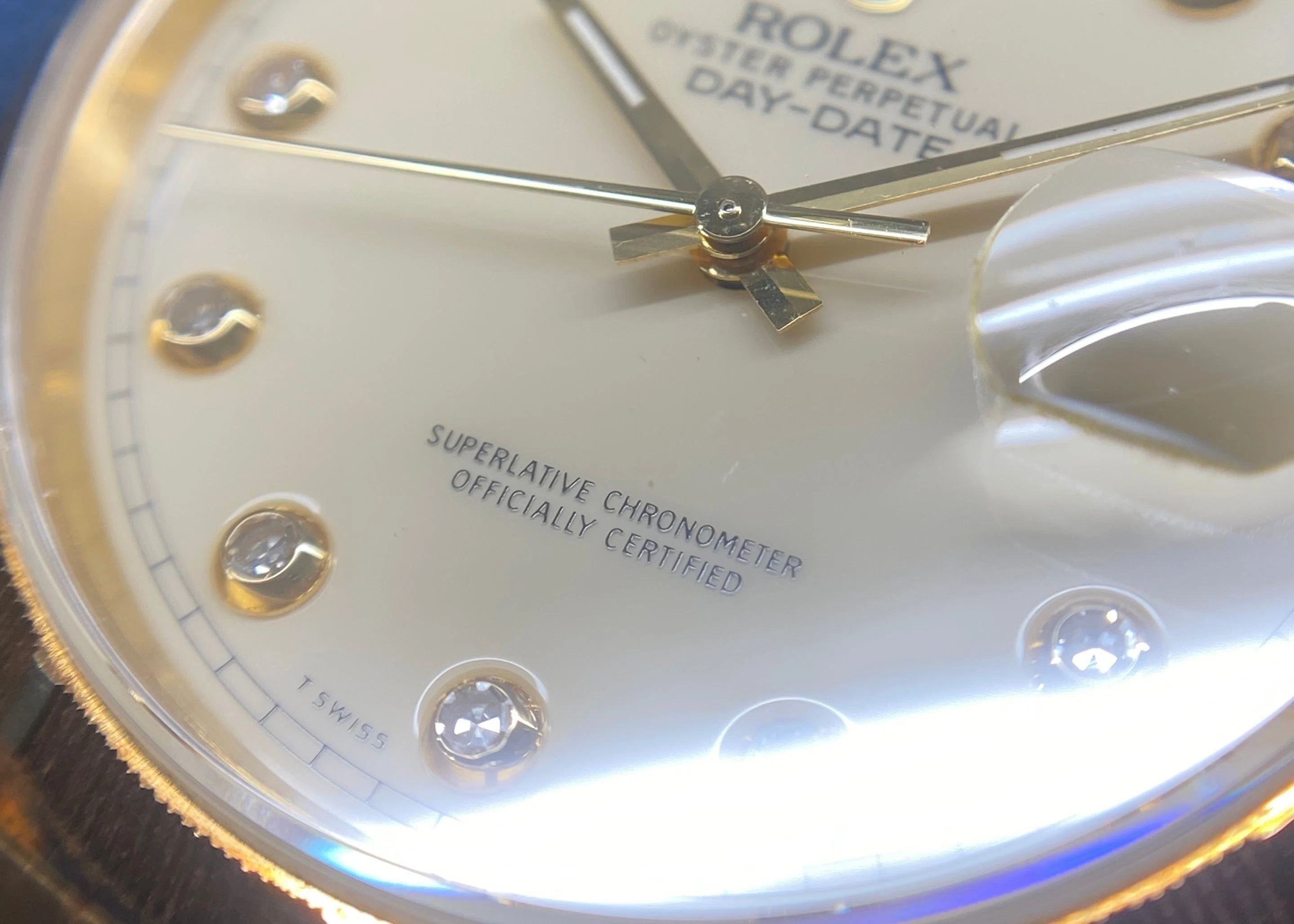 ピンボール アイボリー 「Ref.18248」 N番 バーク｜金子 剛