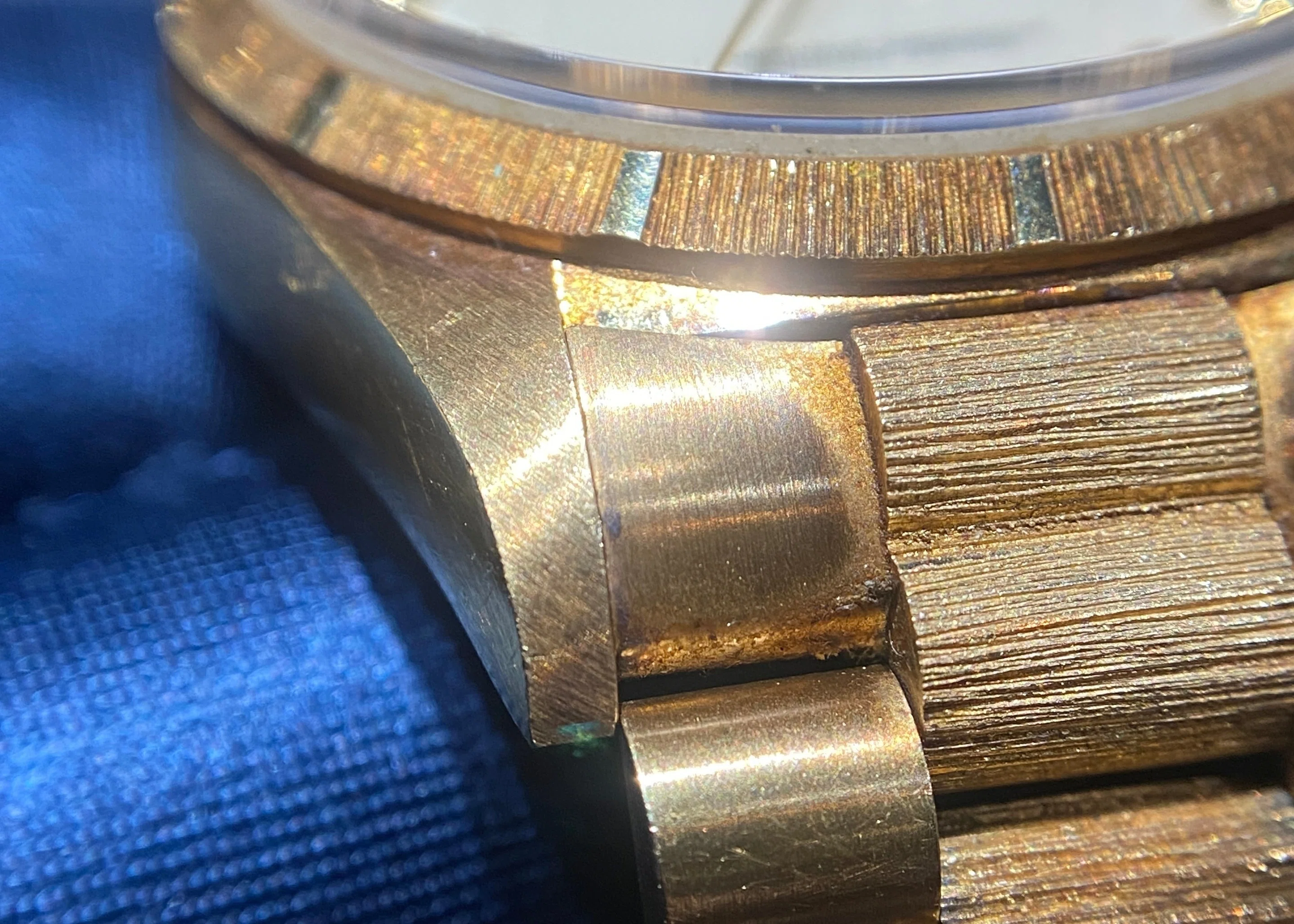ピンボール アイボリー 「Ref.18248」 N番 バーク｜金子 剛