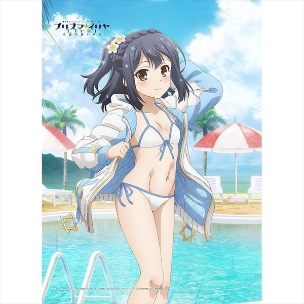 プリズマ☆イリヤ クロエ 描き下ろし特大タペストリー 夏ver. 水着 劇場版「Fate/kaleid liner プリズマ☆イリヤ Licht 名前の無い