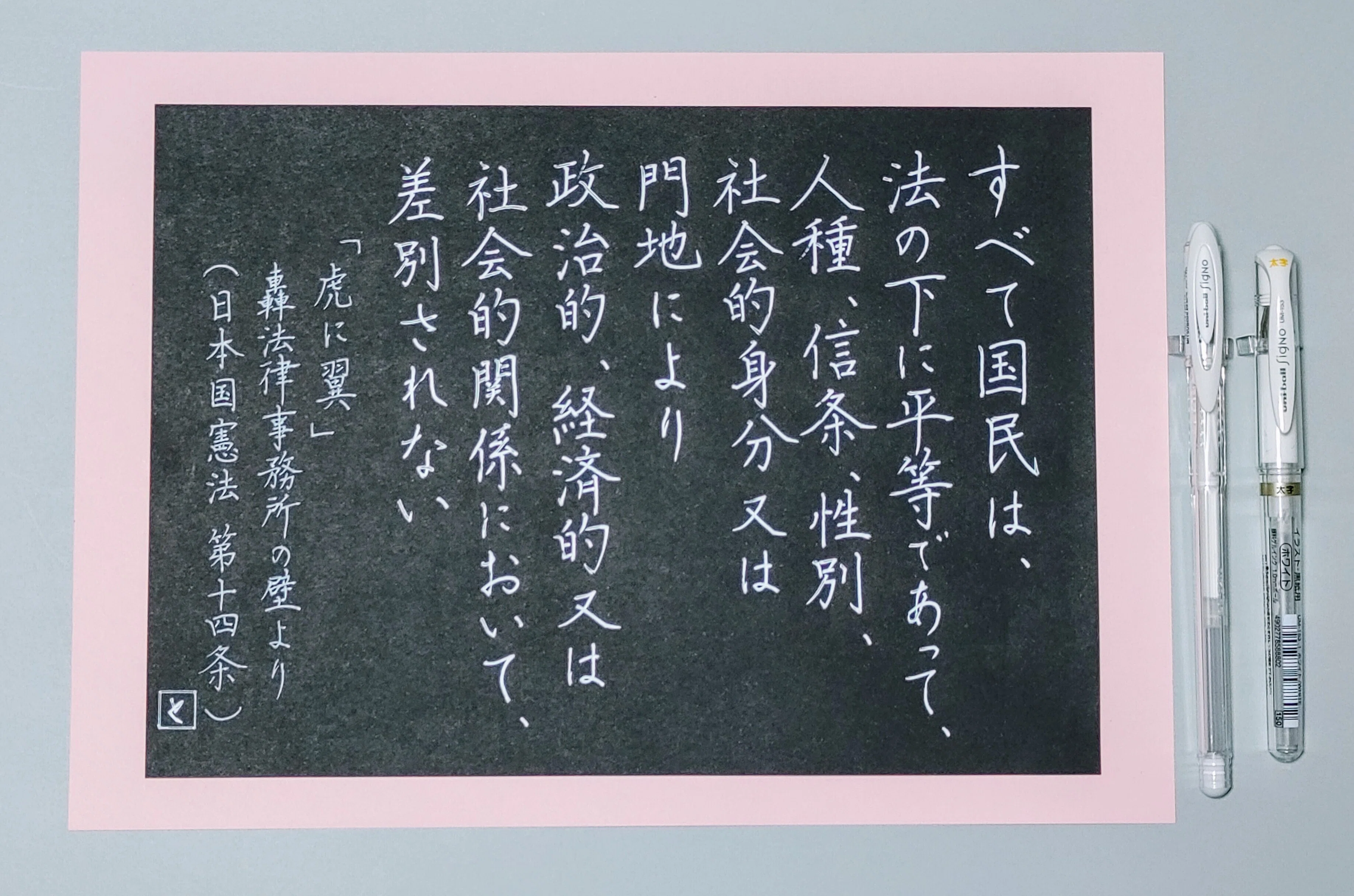 日本国憲法 第14条 を書く｜TON
