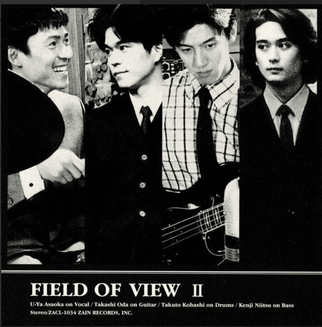 FIELD OF VIEW デビュー30周年の記念日2025年5月15日にニュー