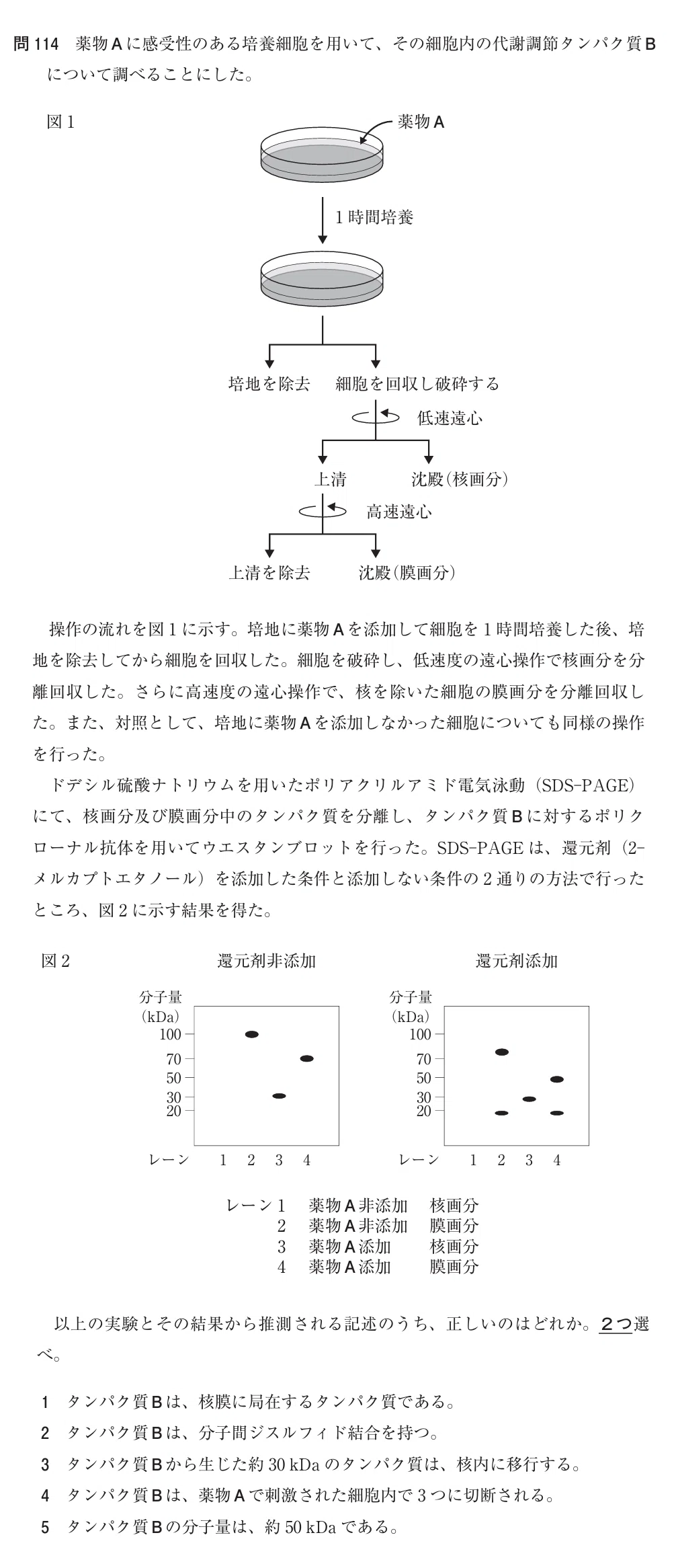 松廼屋｜論点解説 薬剤師国家試験対策ノート問107-114【生物】論点