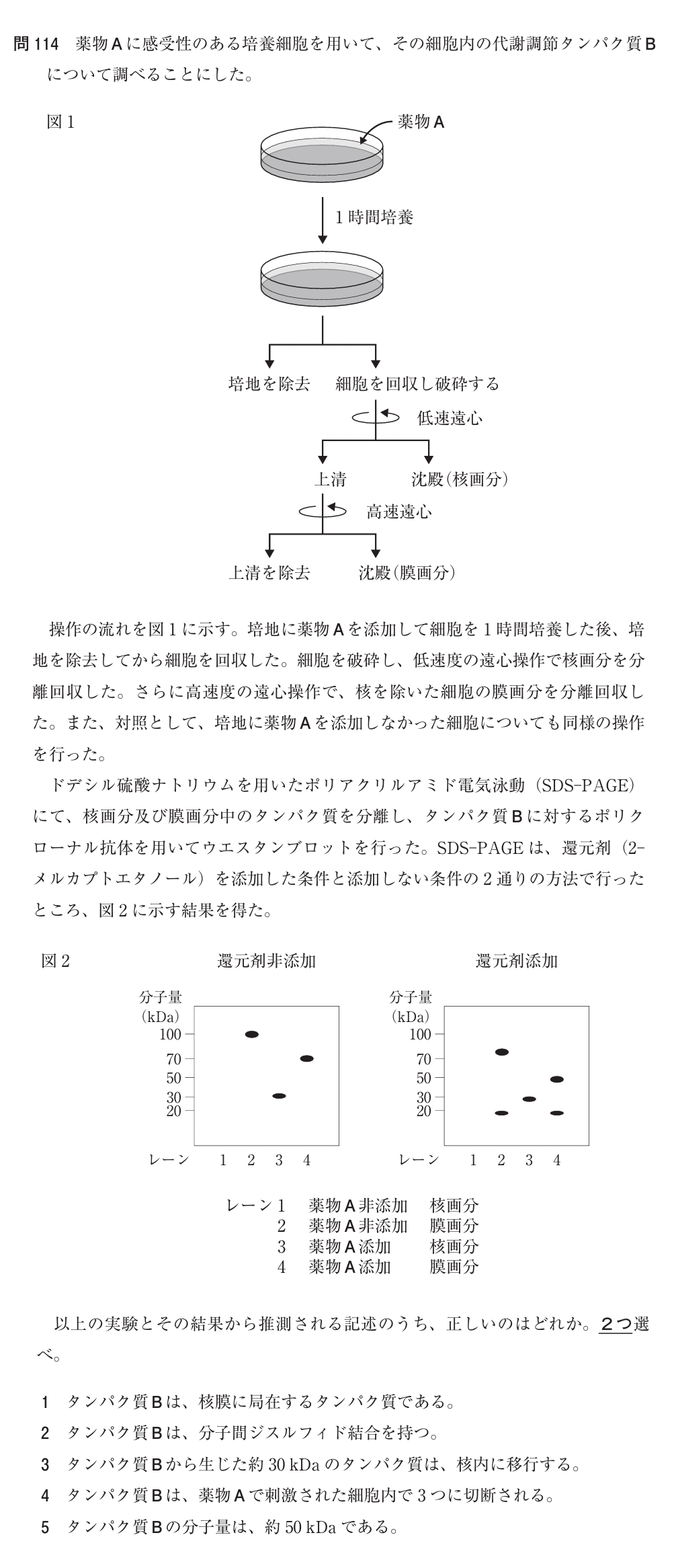 松廼屋｜論点解説 薬剤師国家試験対策ノート問107-114【生物