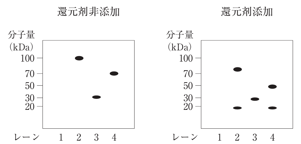 事業再生士補（ATP）試験　過去問と解答解説（10回分） 事業再生士補（ATP）試験 過去問と解答解説（10回分） - メルカリ