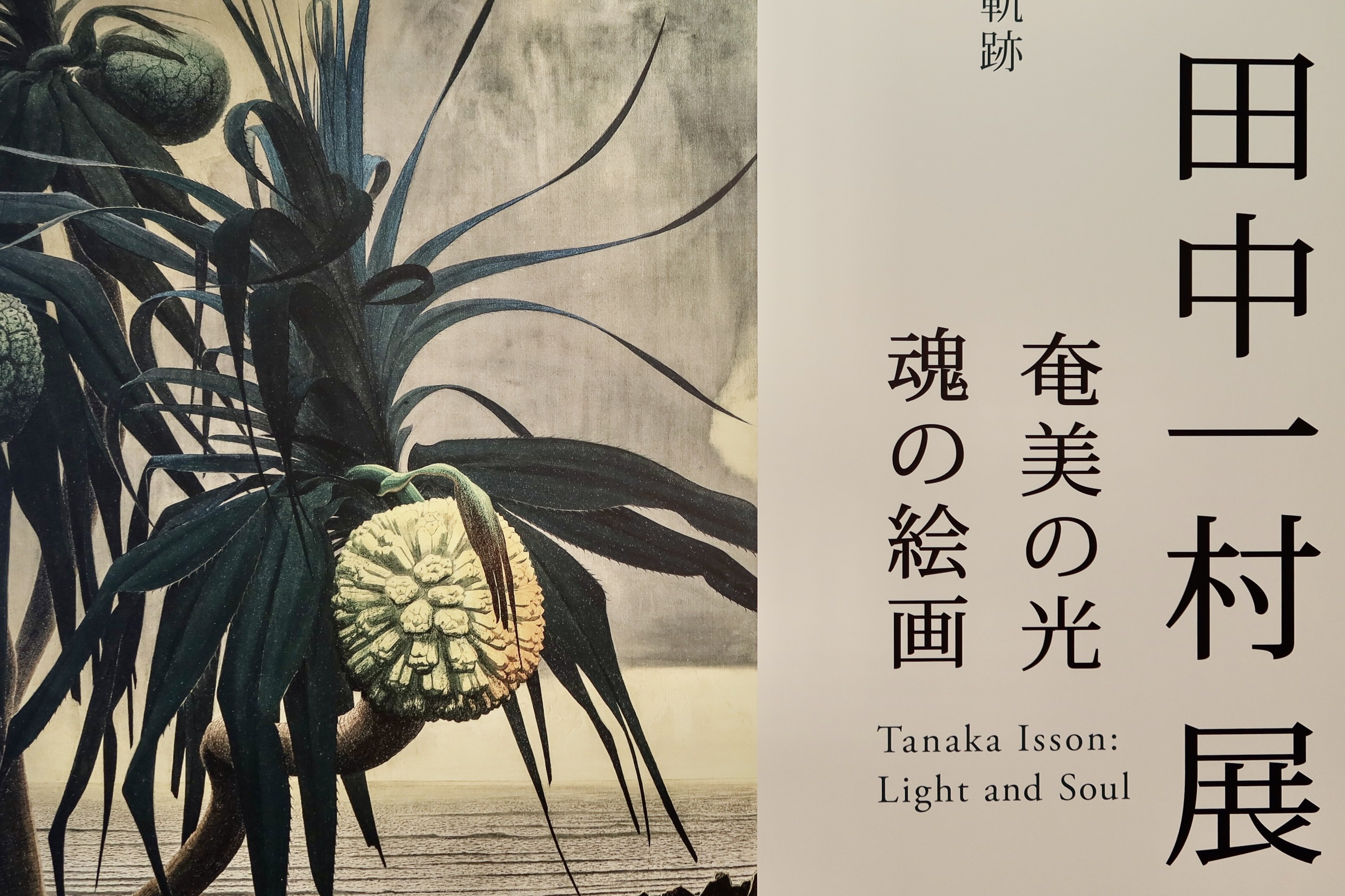 徒然雲 しなやかながんこ一村の歩んだ道を垣間見た｜kumokichi