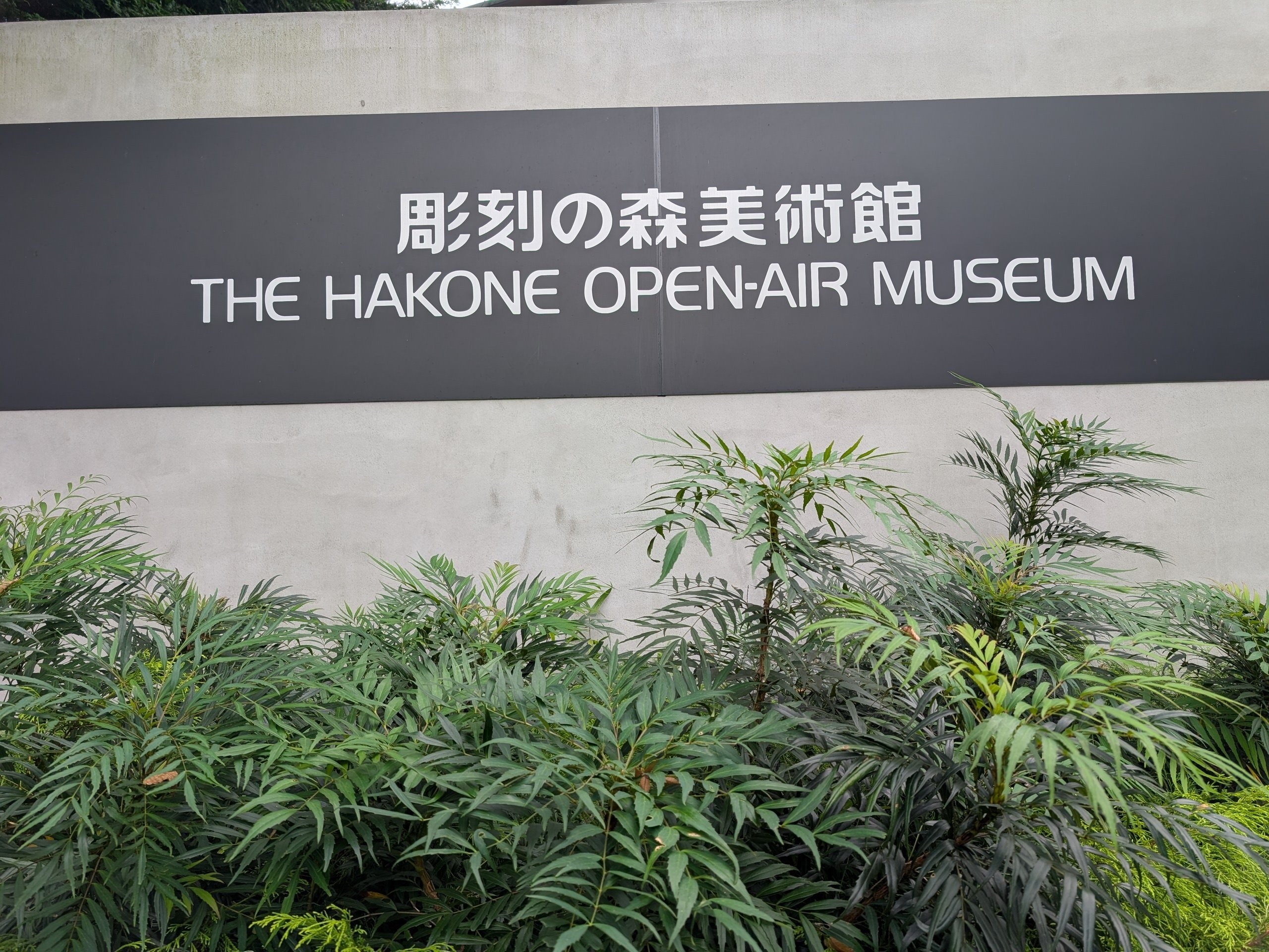 彫刻の森美術館 開館55周年記念「舟越桂 森へ行く日」｜少佐のノオト