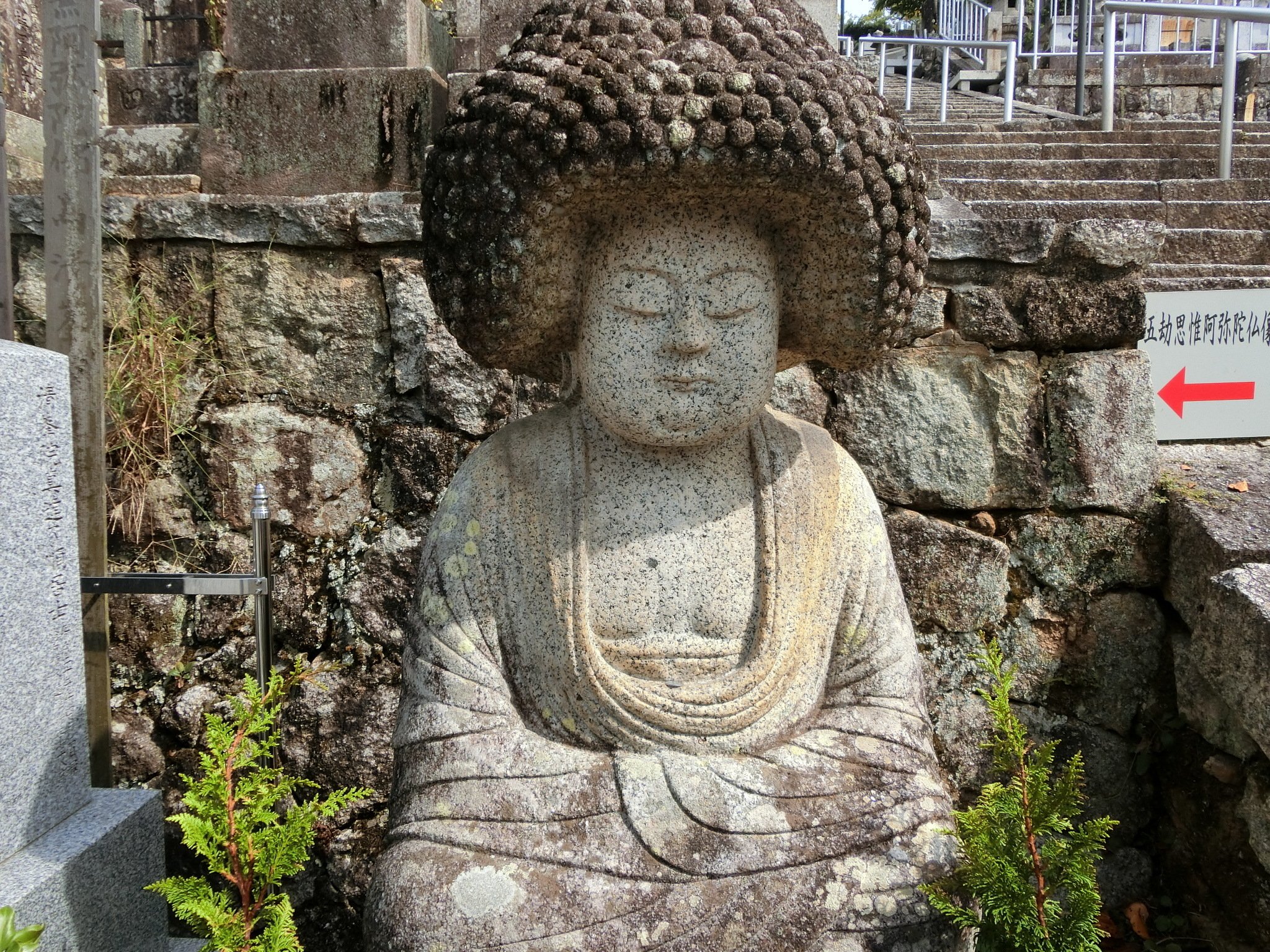 渡来人