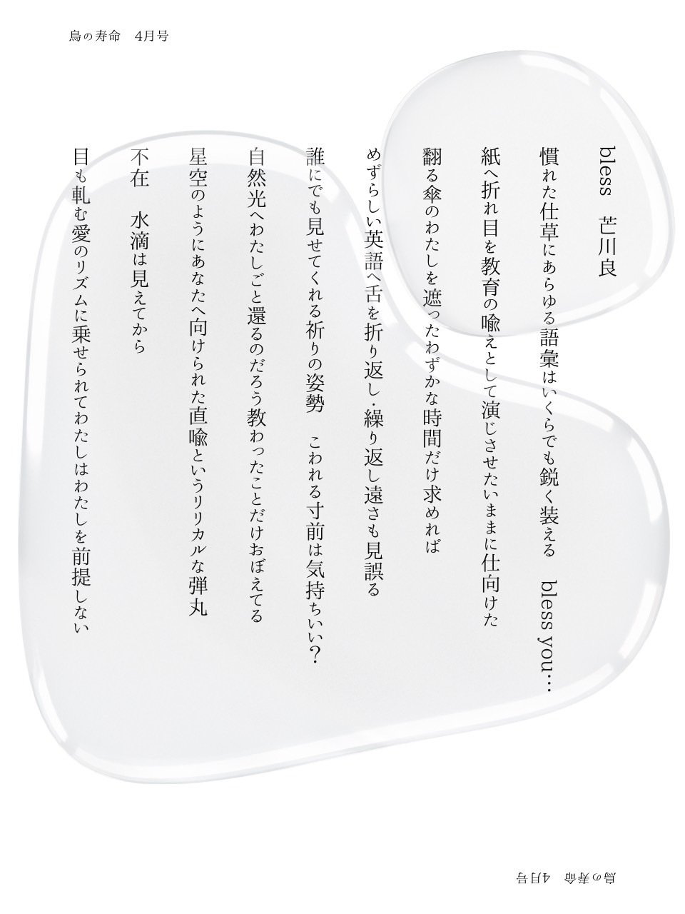 鳥の寿命 2024年4月号(短歌9首+詩)｜鳥の寿命