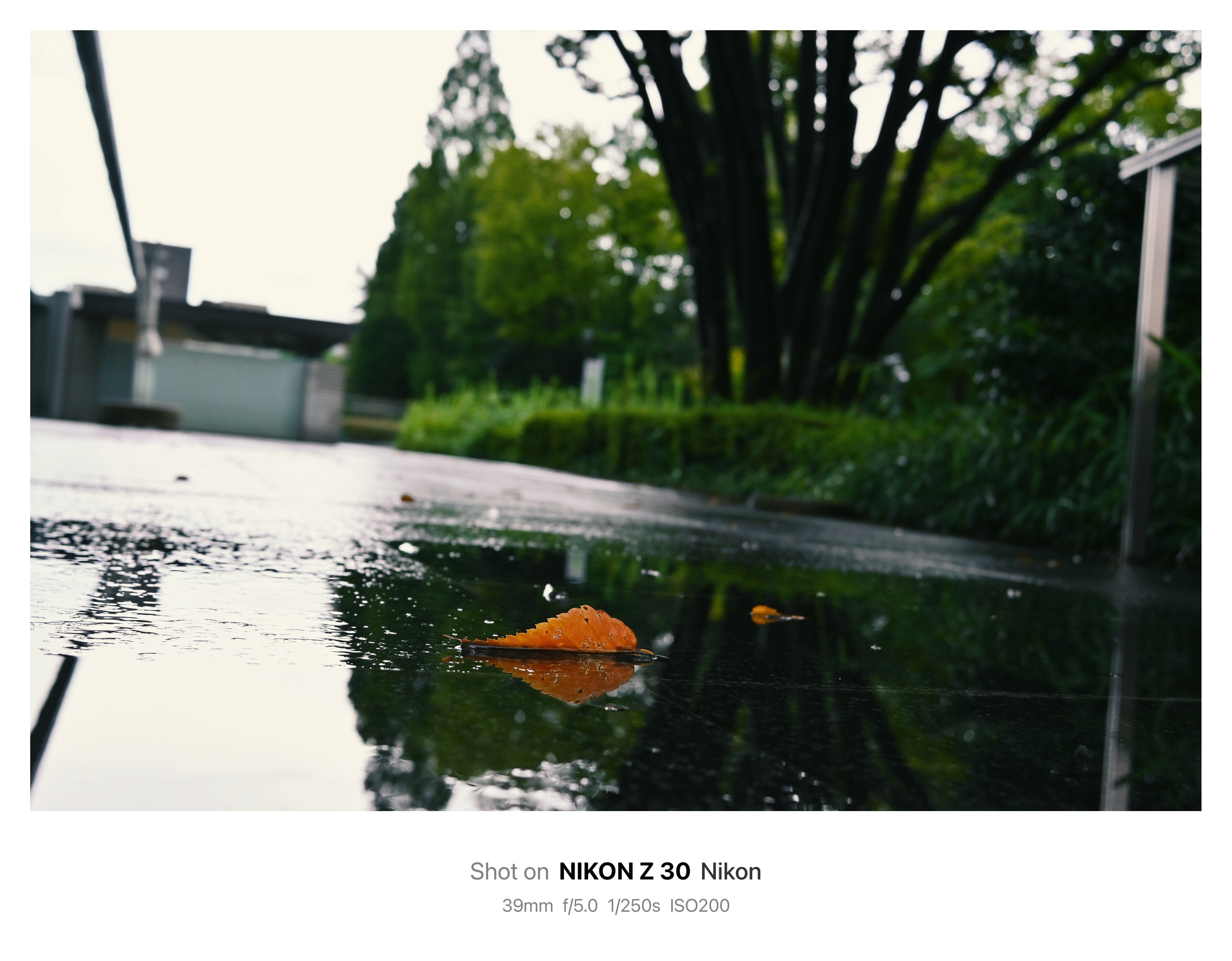 所有しているレンズについて【Zレンズの世界】｜鈴木ユートピア