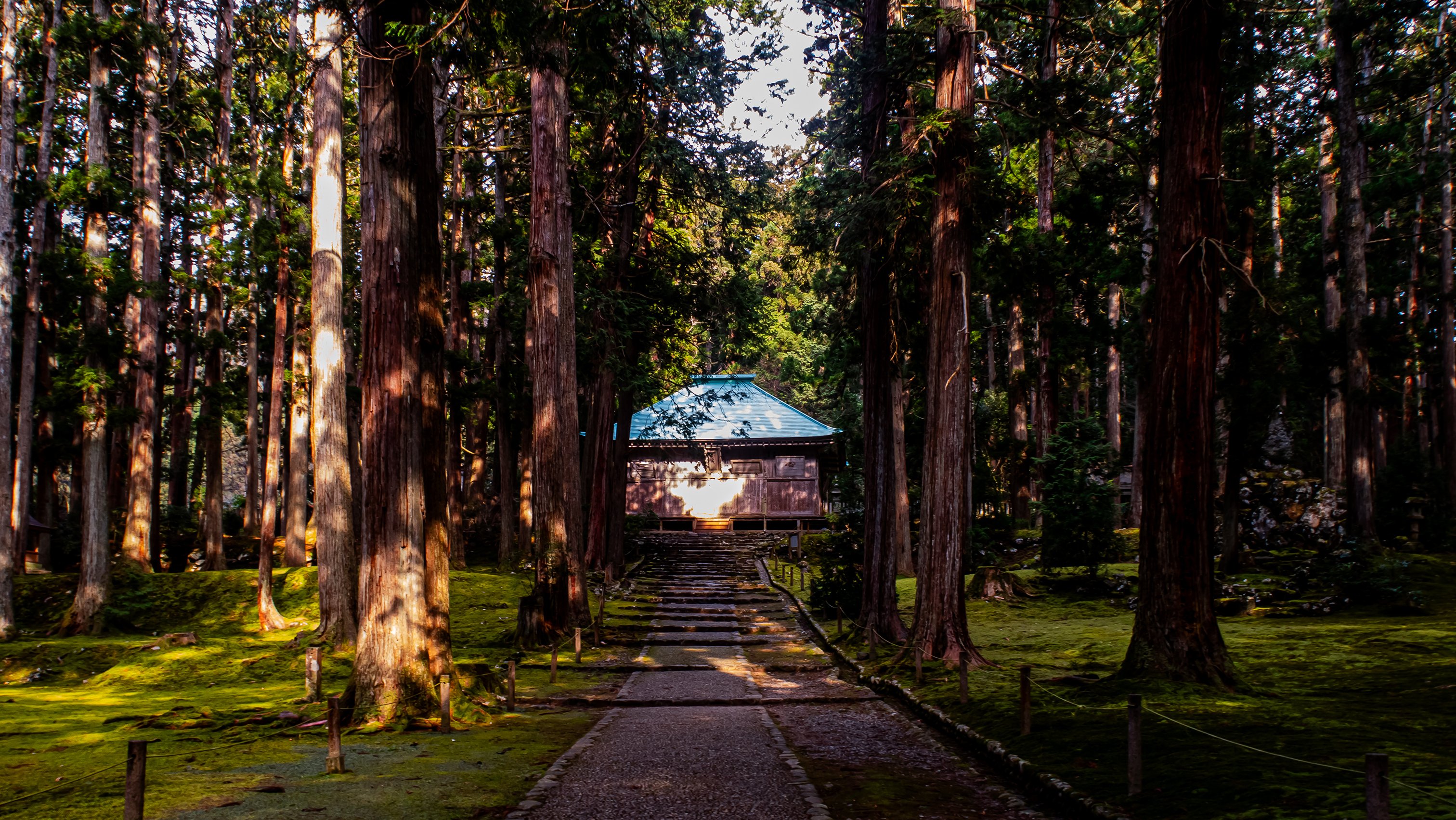吉永小百合さんが立つ~瞬煌(kizashi)福井県・白山平泉寺 吉永小百合さんが立つ~瞬煌(kizashi)福井県・白山平泉寺