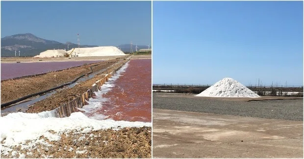Saline -塩田-｜Sardegnasick