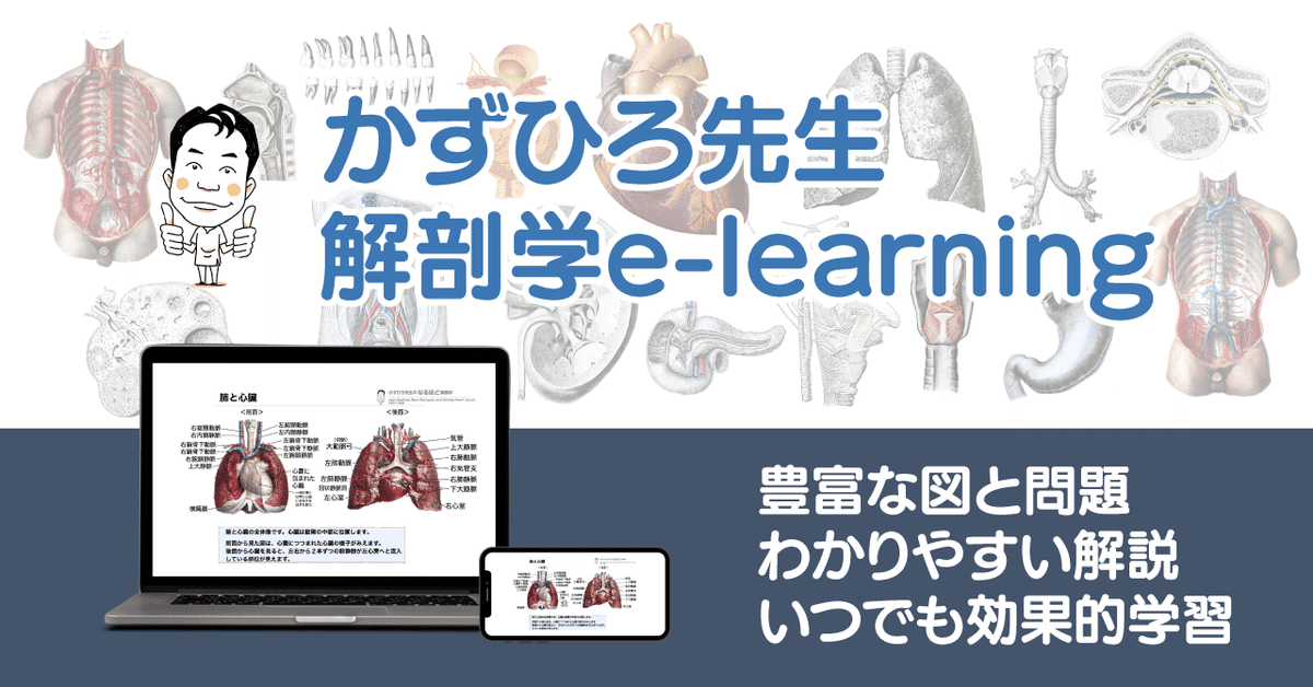 解剖学教育を次のレベルへ かずひろ解剖e-learning 学校向け包括