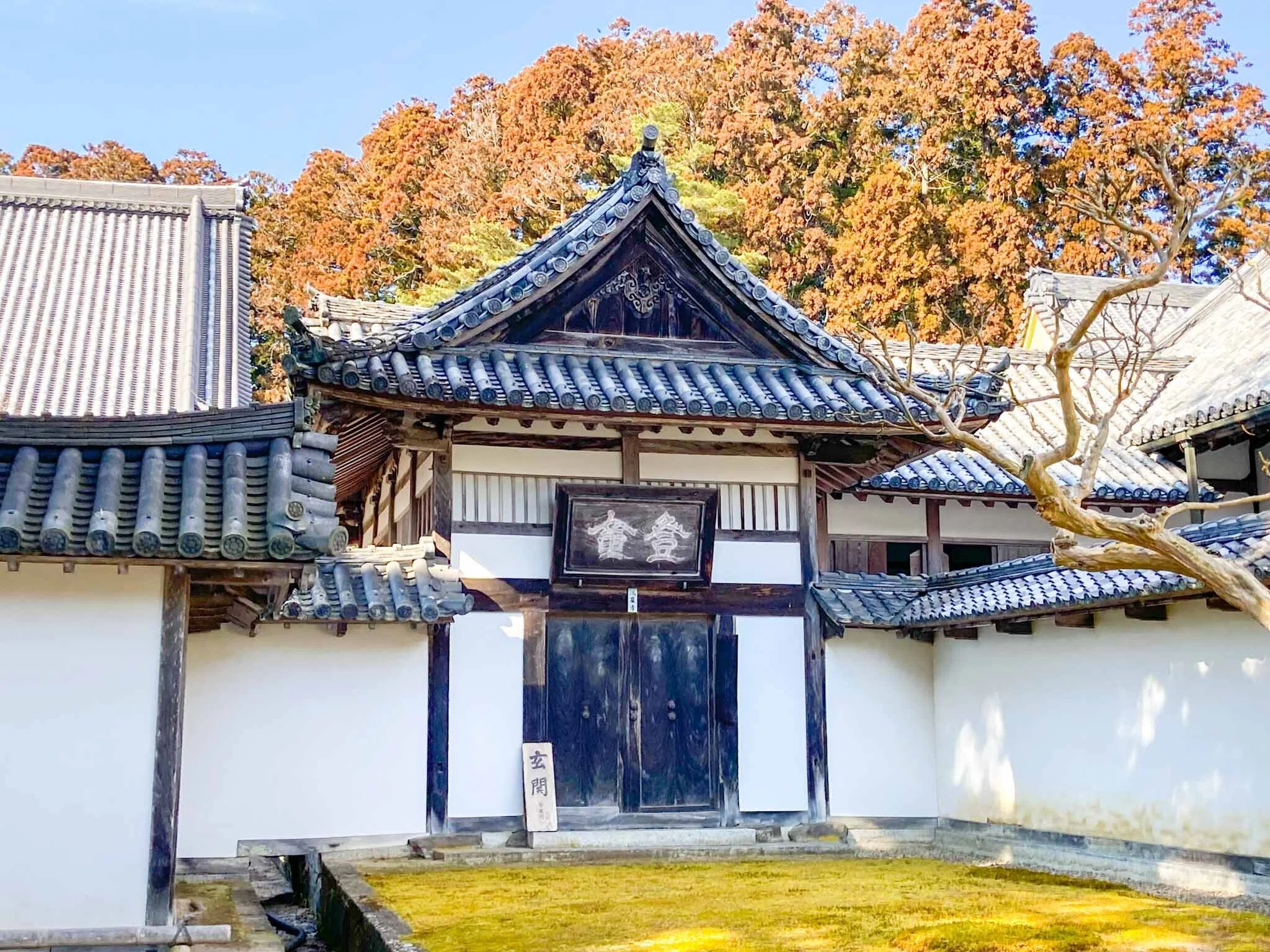 現代宮城風土記#32：松島・瑞巌寺｜みやせん(宮城仙台の豆知識)