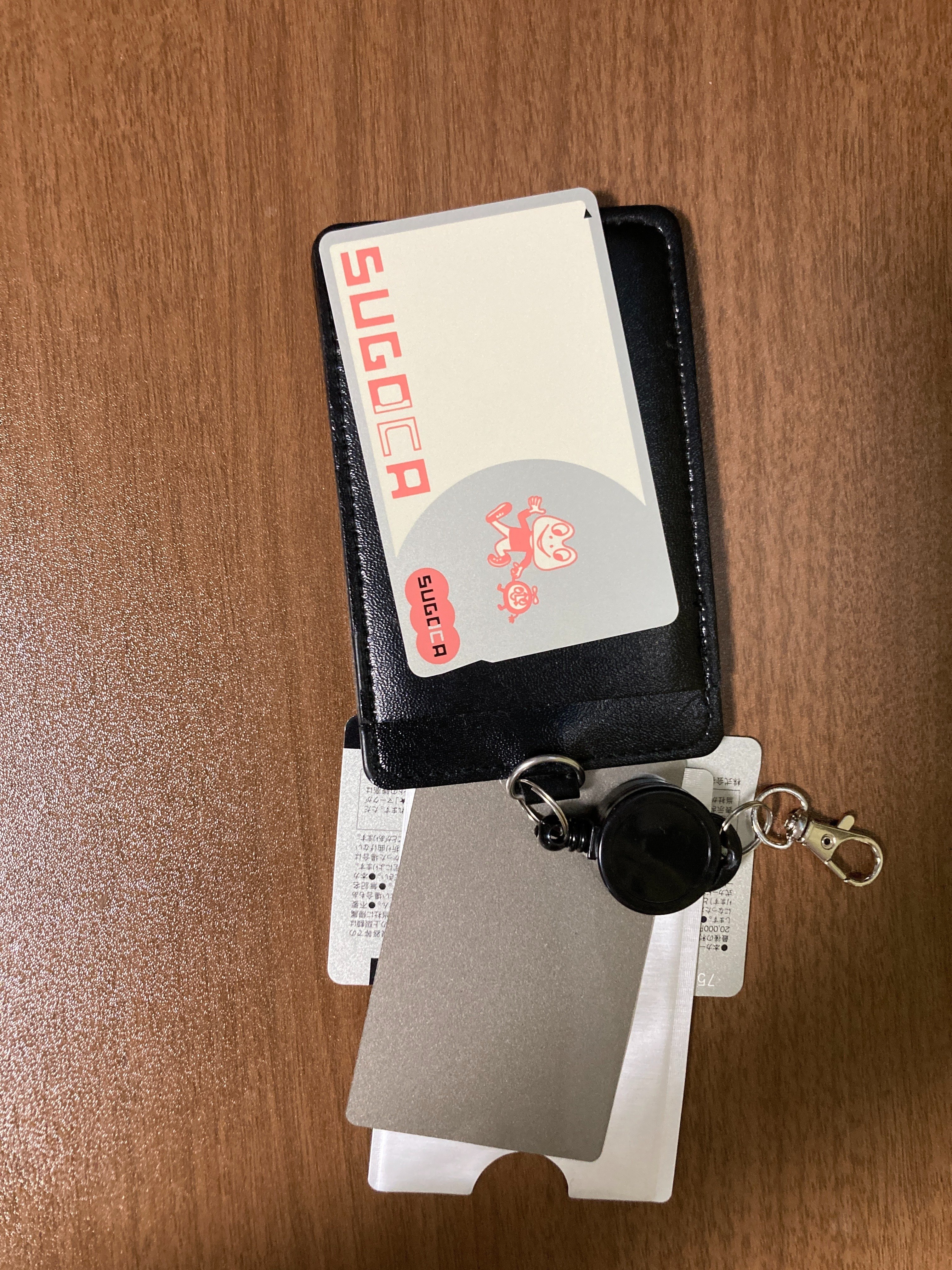 交通系ICカード2枚を1つのパスケースで使う方法｜えぶりょう