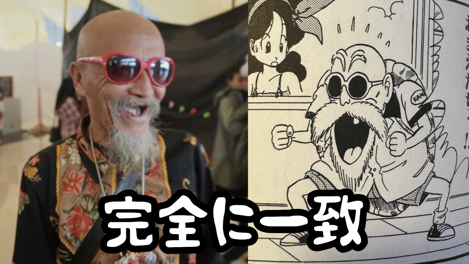 インドネシアにて本物の亀仙人が発見される｜インドネシアが面白い！