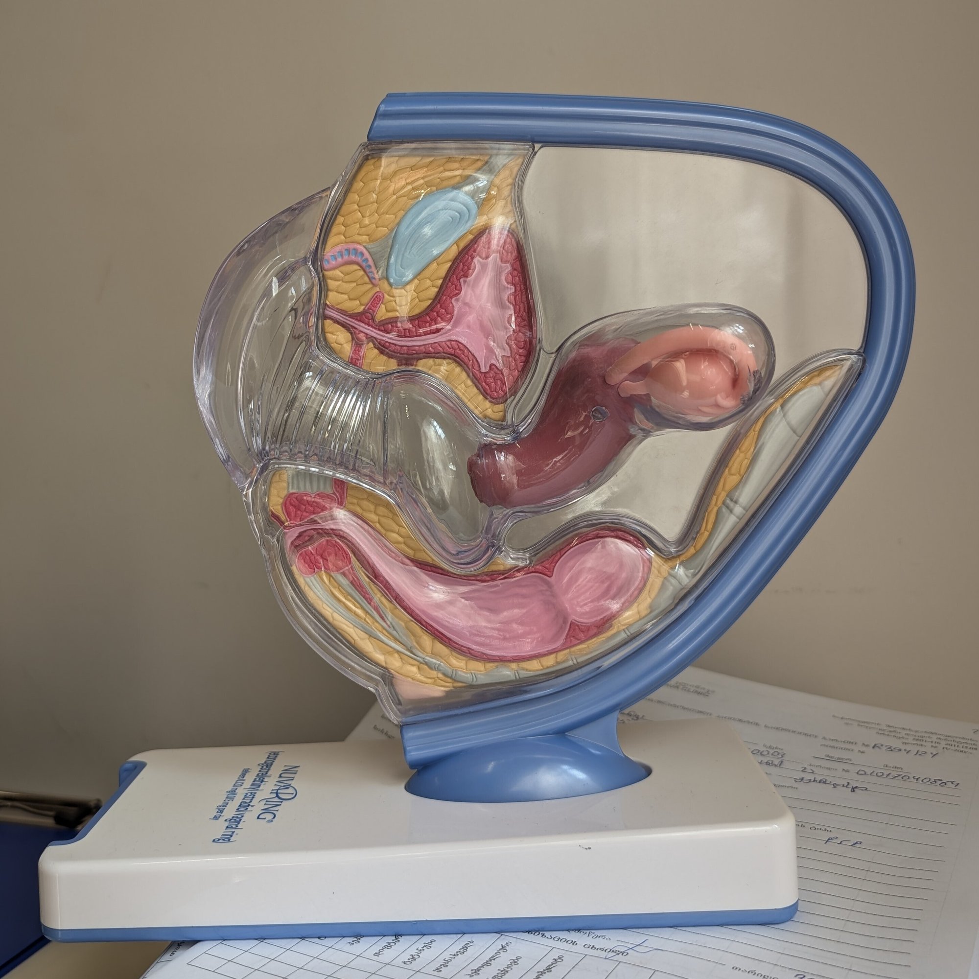 ジョージア🇬🇪の医療事情（産婦人科）｜トビリシのゆうこ＠ジョージア