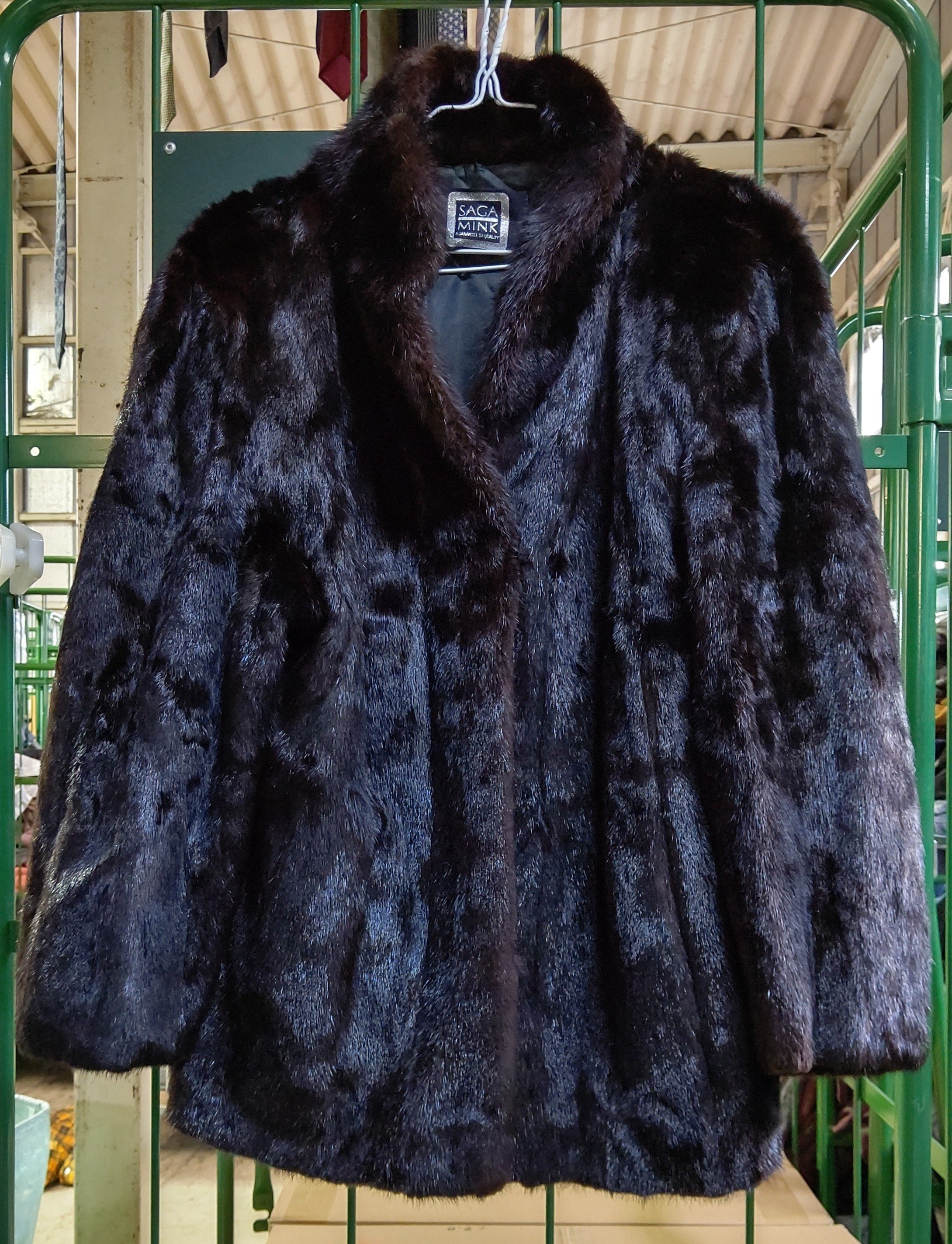 SAGA MINK🦨サガミンクのコートをレスキューした🎉シルバー SAGA MINK🦨サガミンクのコートをレスキューした🎉シルバー