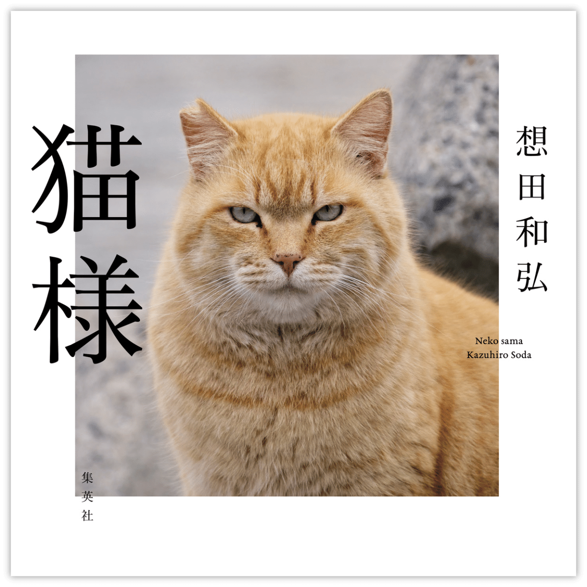 ねこた様専売 MIX CATS | sen no STORE